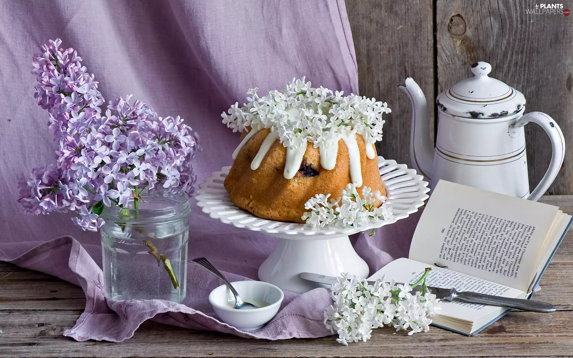 cake, without, composition, Book