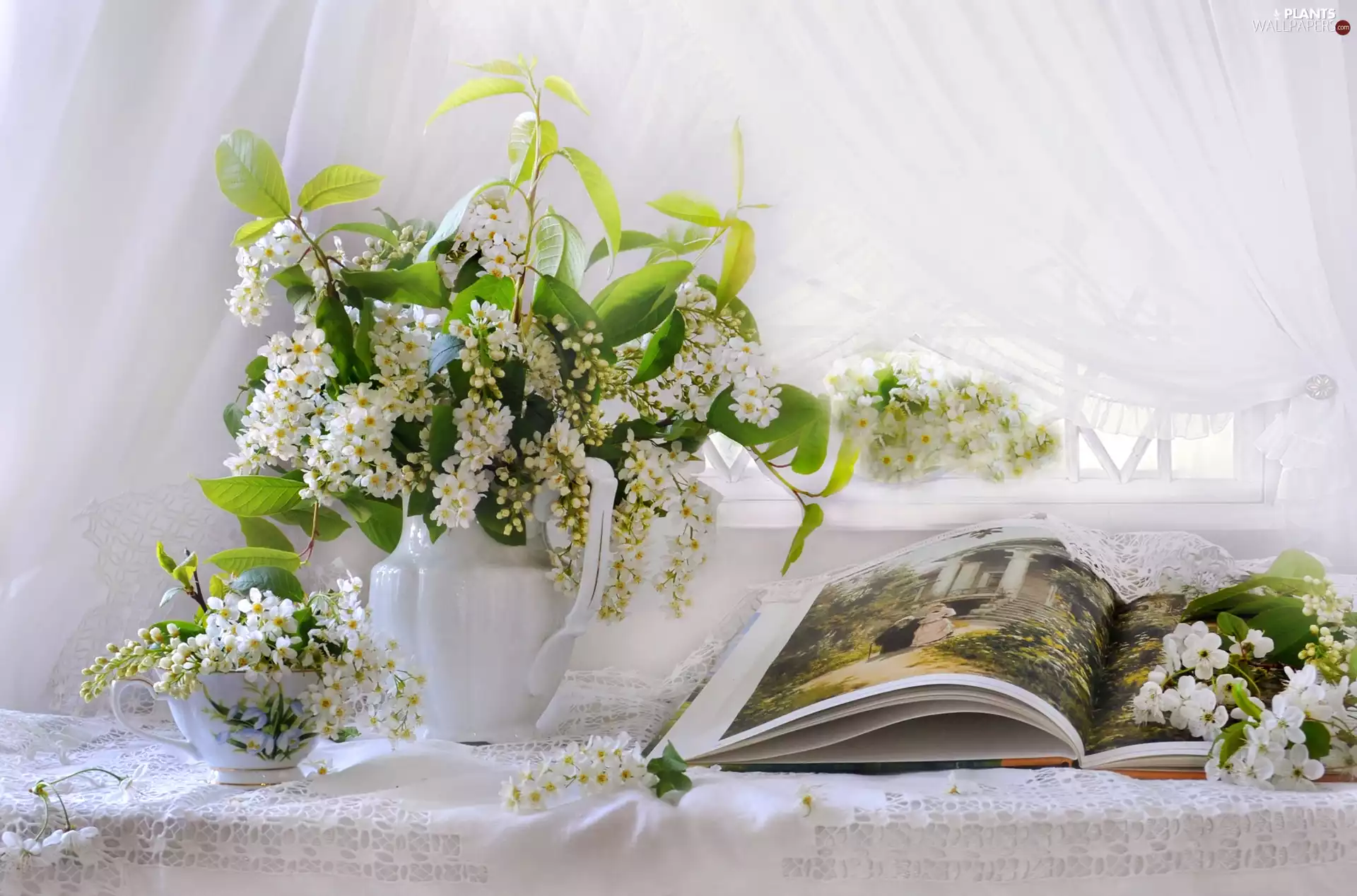bouquet, Flowers, cup, Bird Cherry, Twigs, Vase, Book