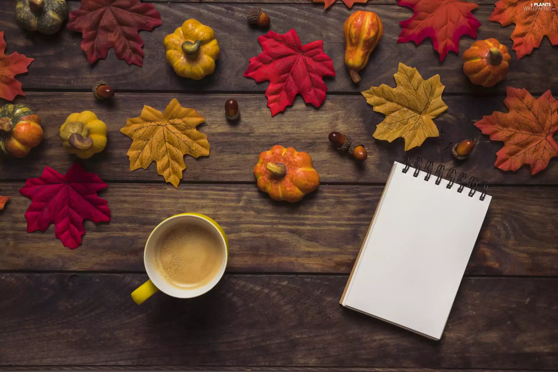 Acorns, Leaf, note-book, boarding, coffee, pumpkin