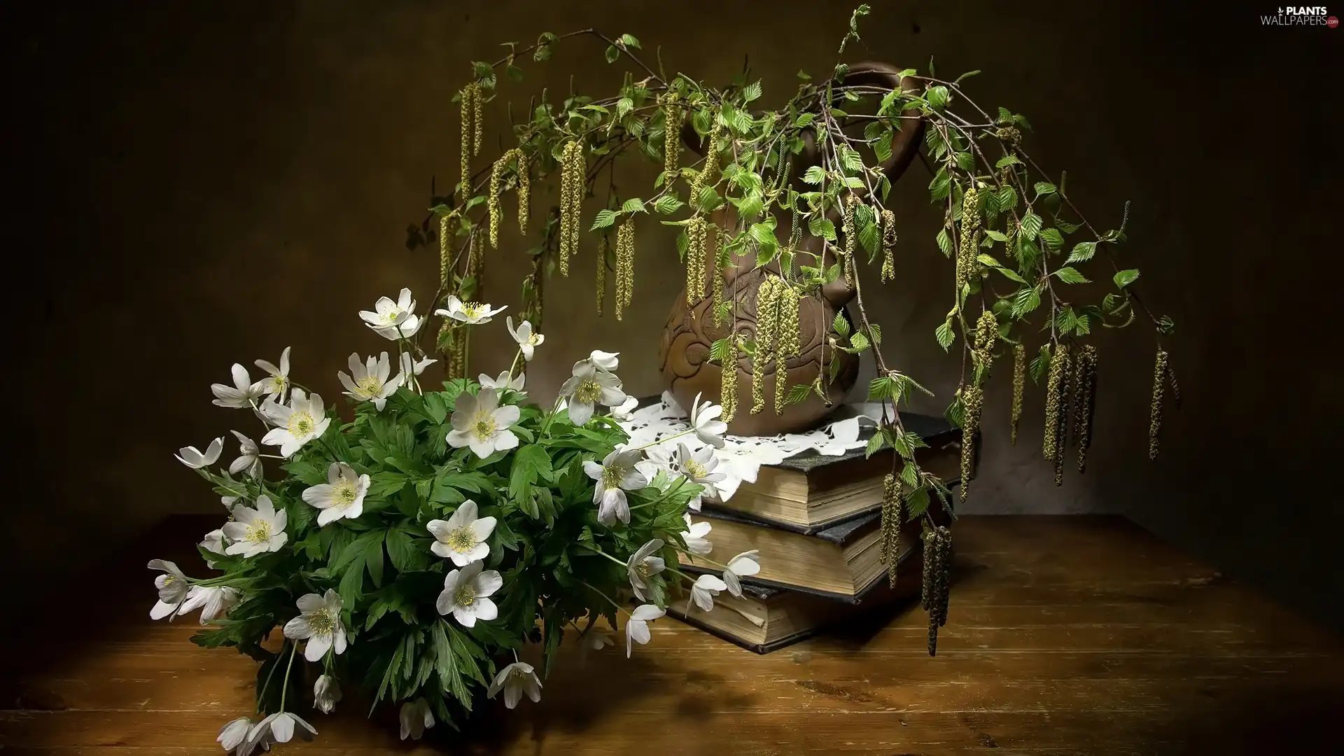 Anemones, composition, birch, Books, Twigs, Flowers