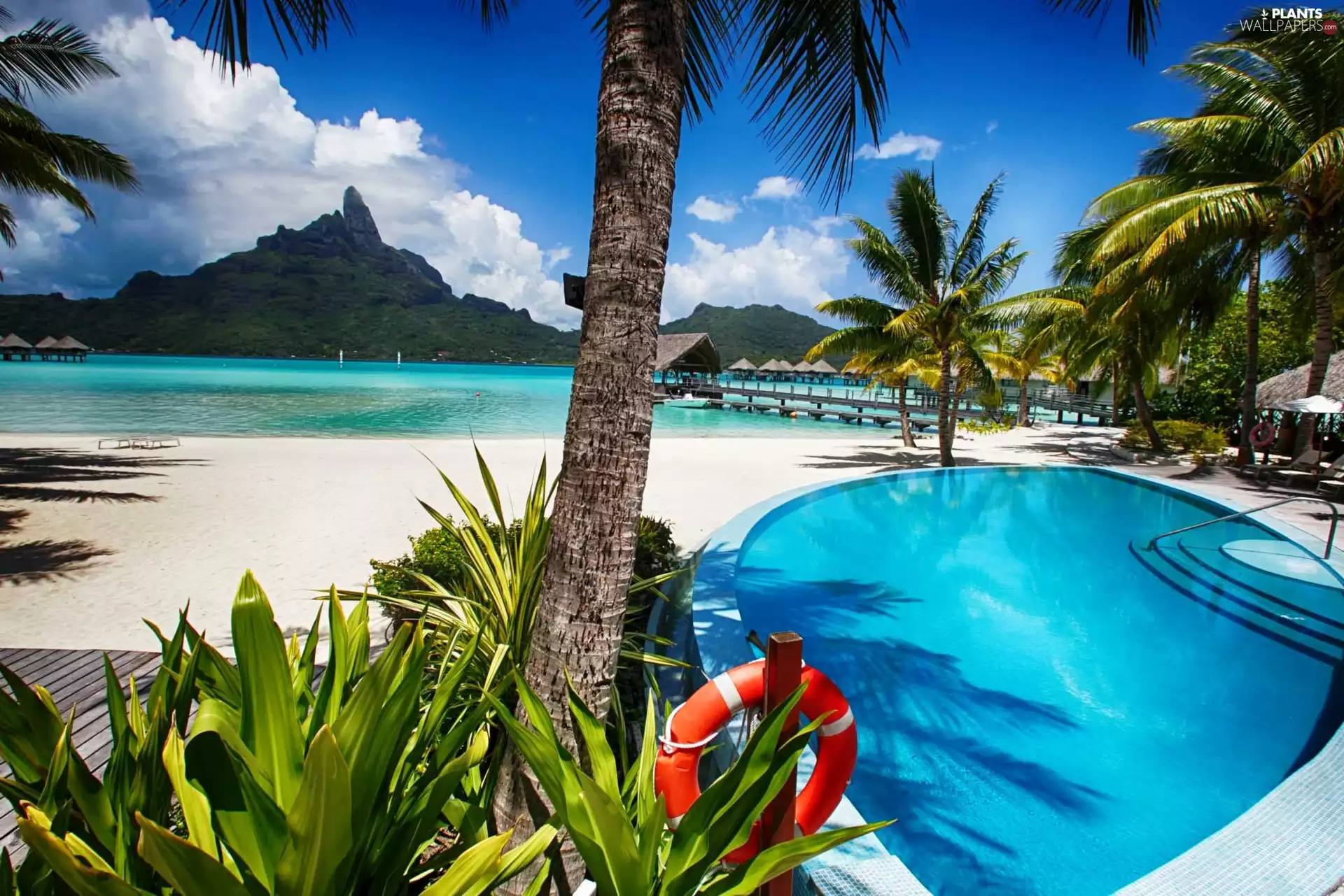 sea, Houses, Palms, Bora Bora, Pool, Mountains