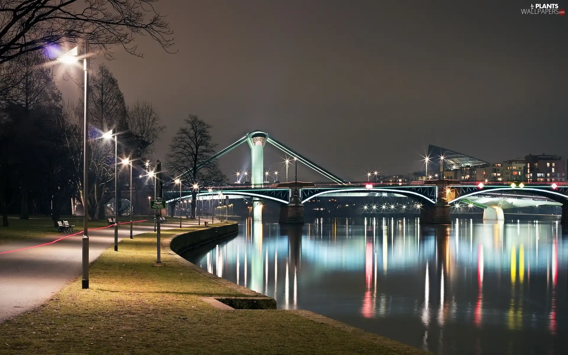 Town, River, boulevard, bridge