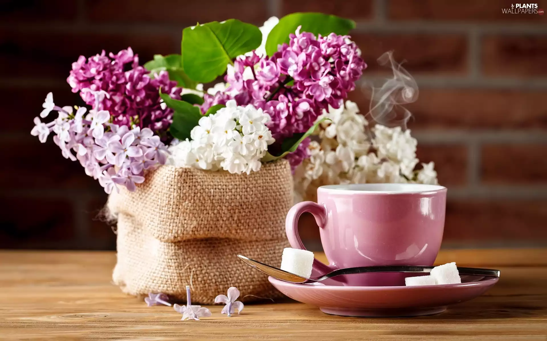 teaspoon, knuckle, without, sugar, Twigs, coffee, cup, bouquet