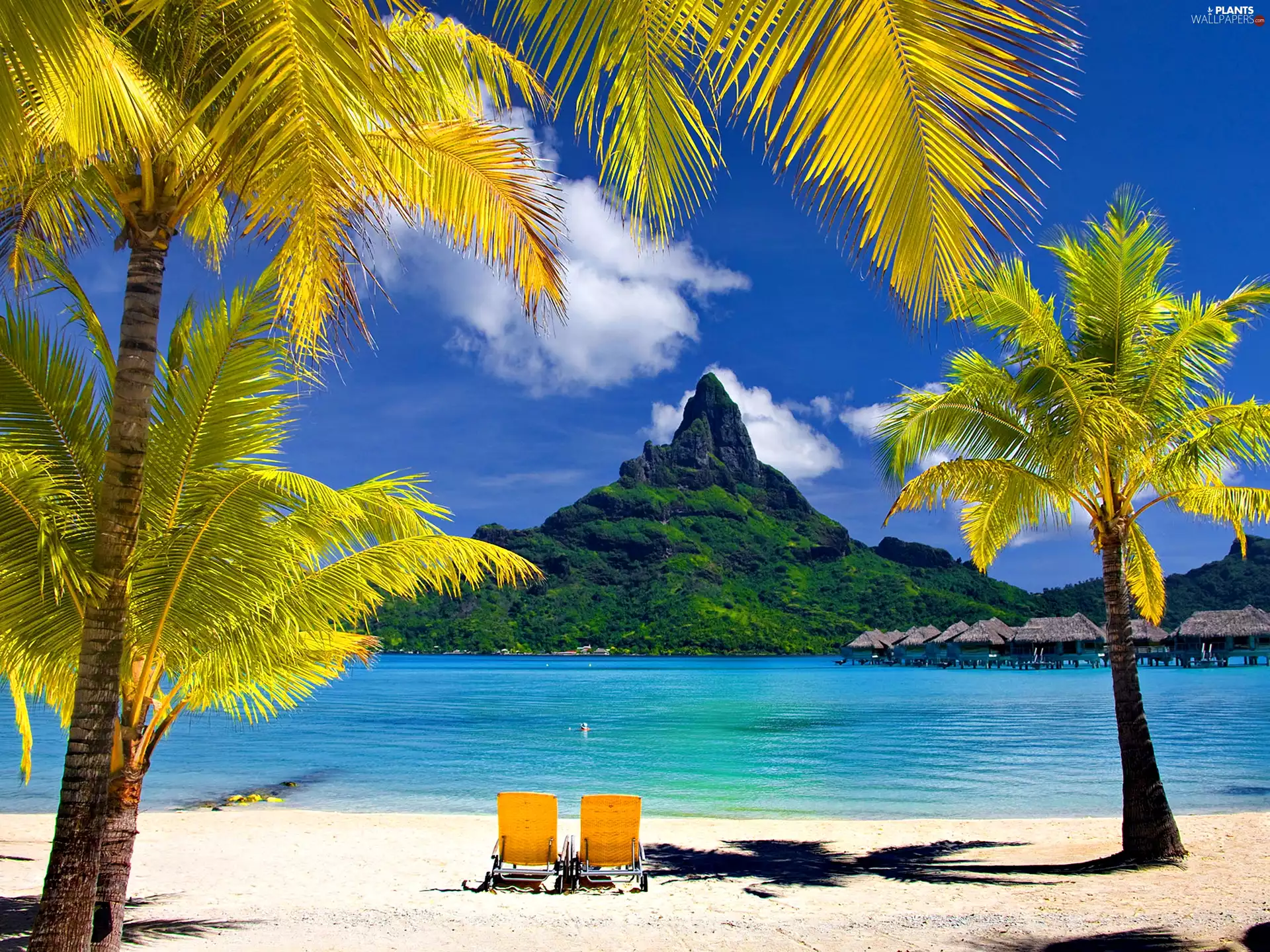 boutique hotels, mountains, deck chair, sea, Bora Bora, Palms, holiday