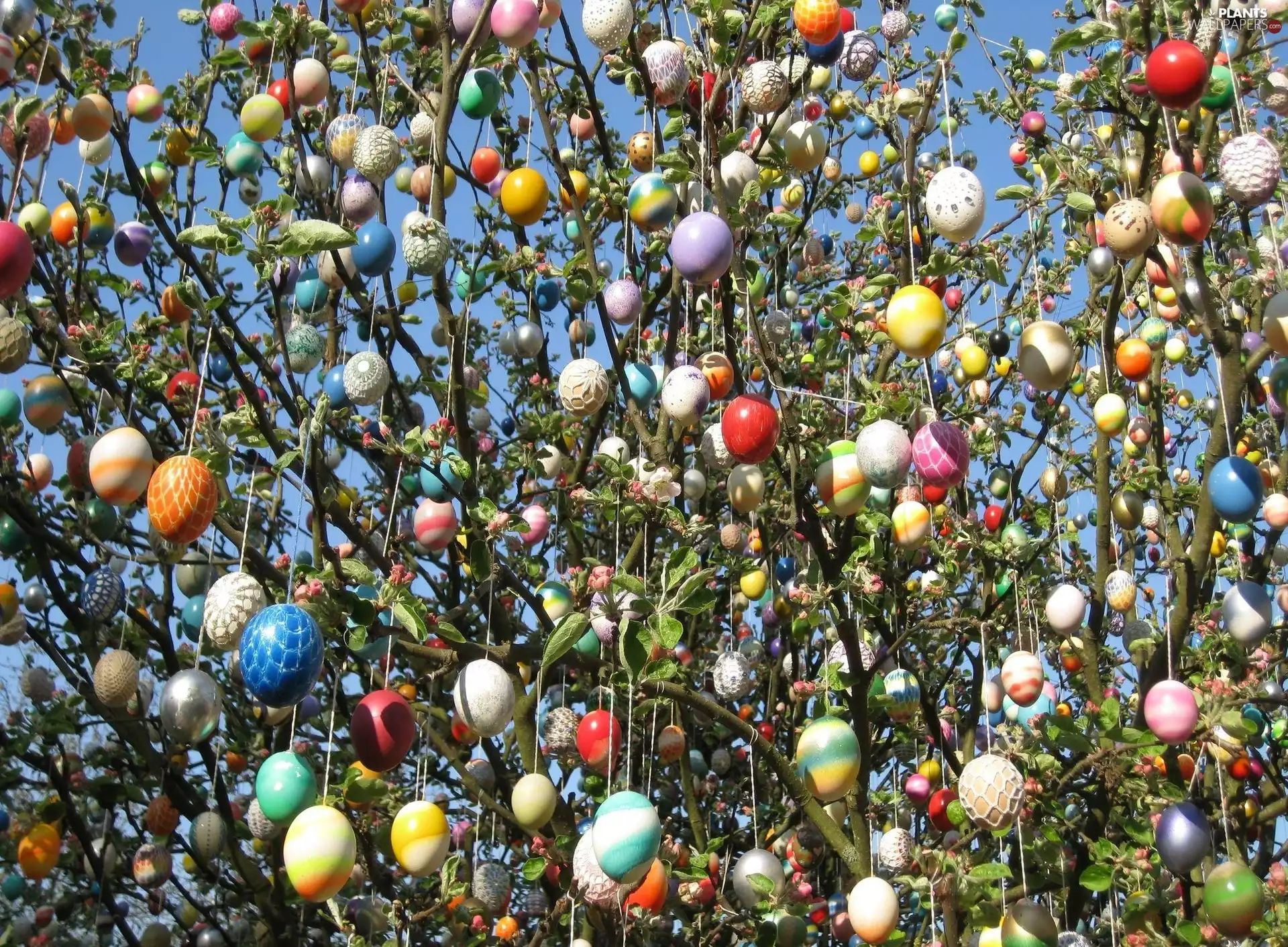 Easter, branch pics, eggs, trees