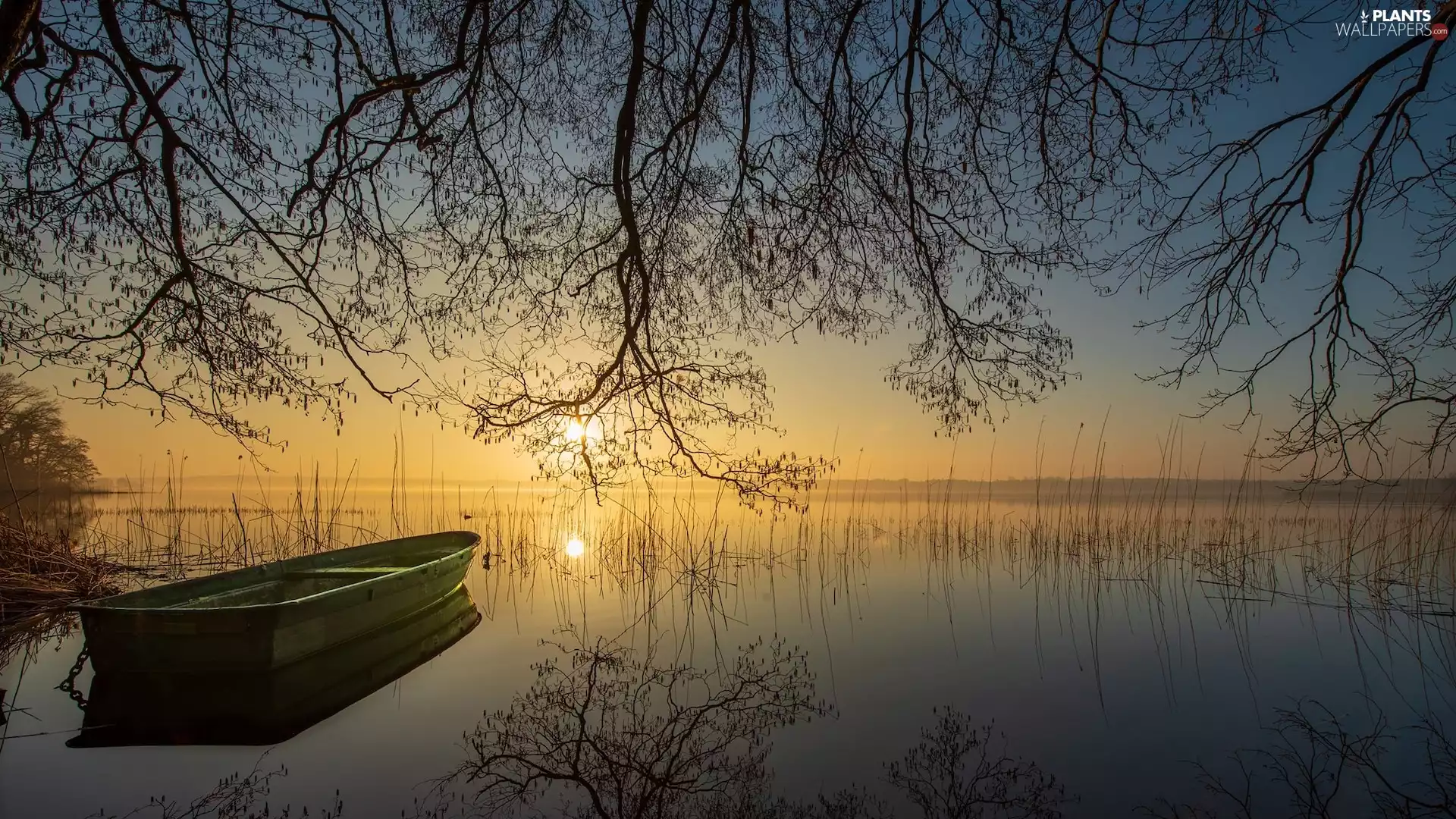 trees, Great Sunsets, branches, Boat, viewes, lake