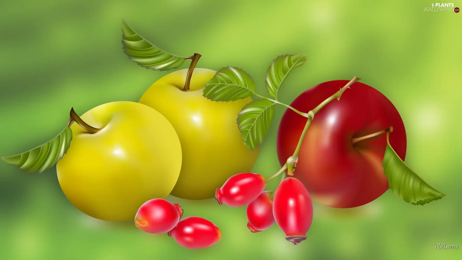 apples, Fruits, Art, Briar