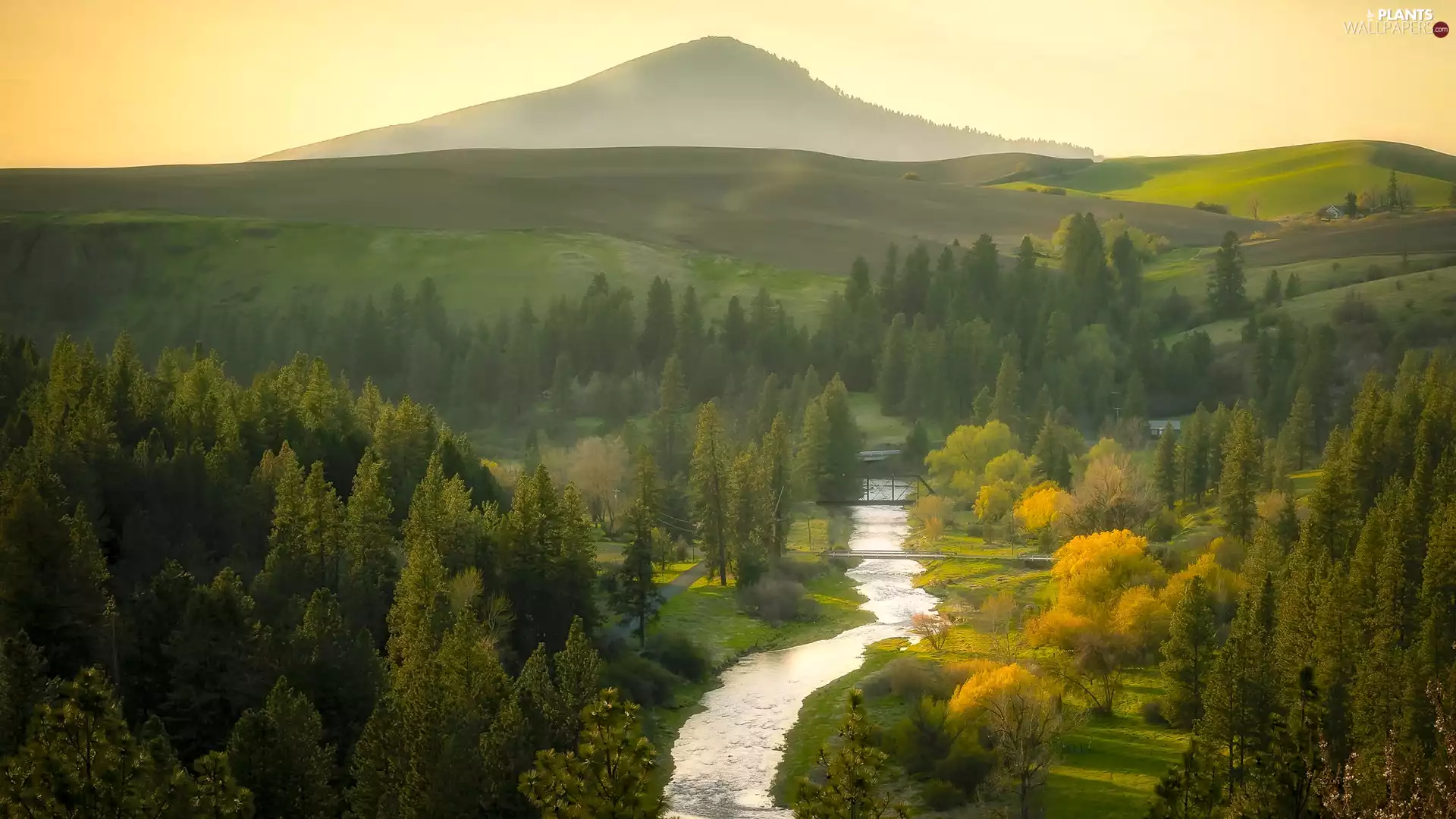 trees, The Hills, River, woods, mountains, viewes, bridge