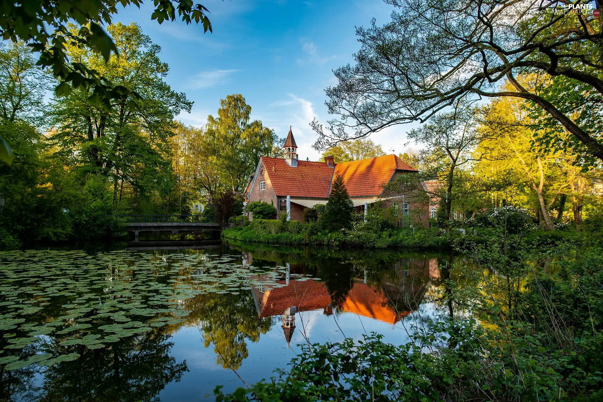 Pond - car, house, trees, viewes, green ones, bridge