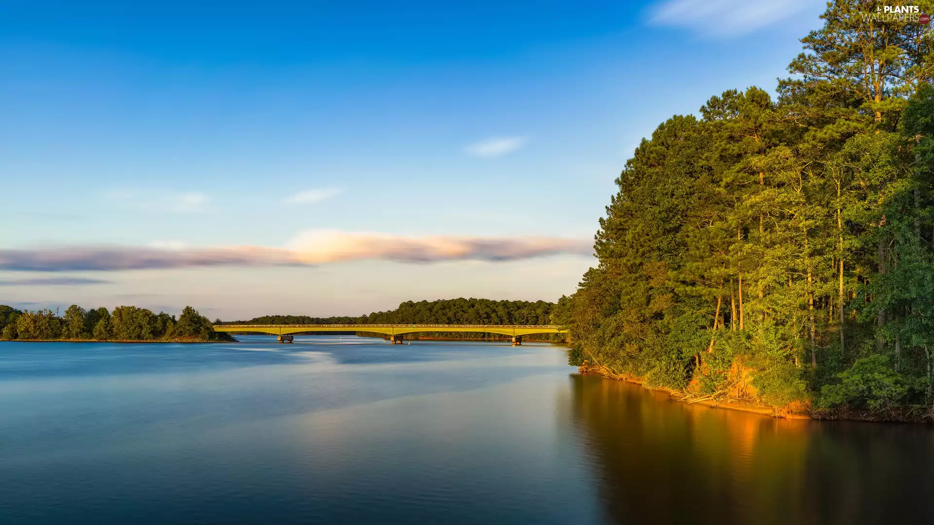 lake, trees, viewes, bridge