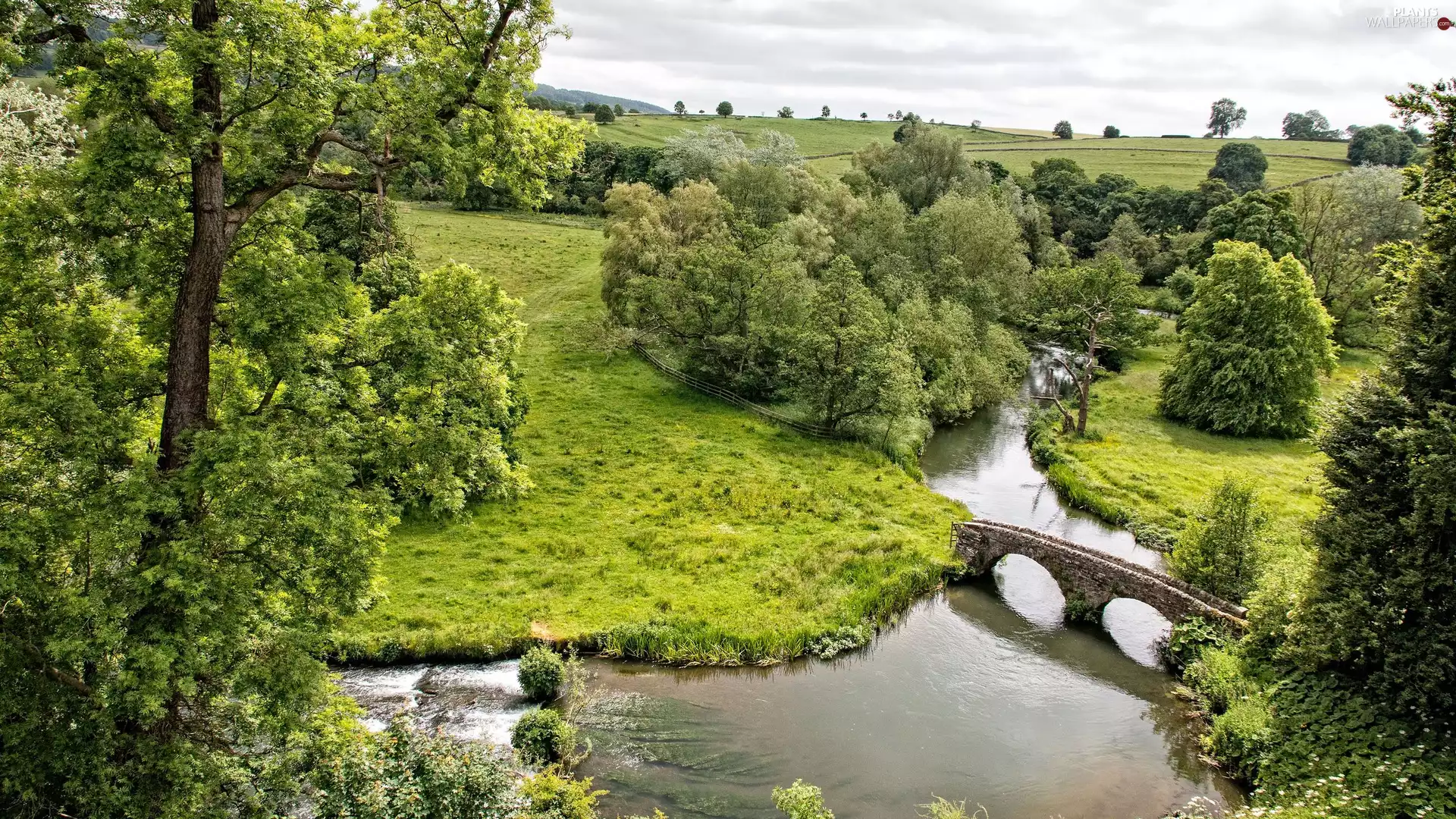 viewes, green ones, bridge, River, stone, trees