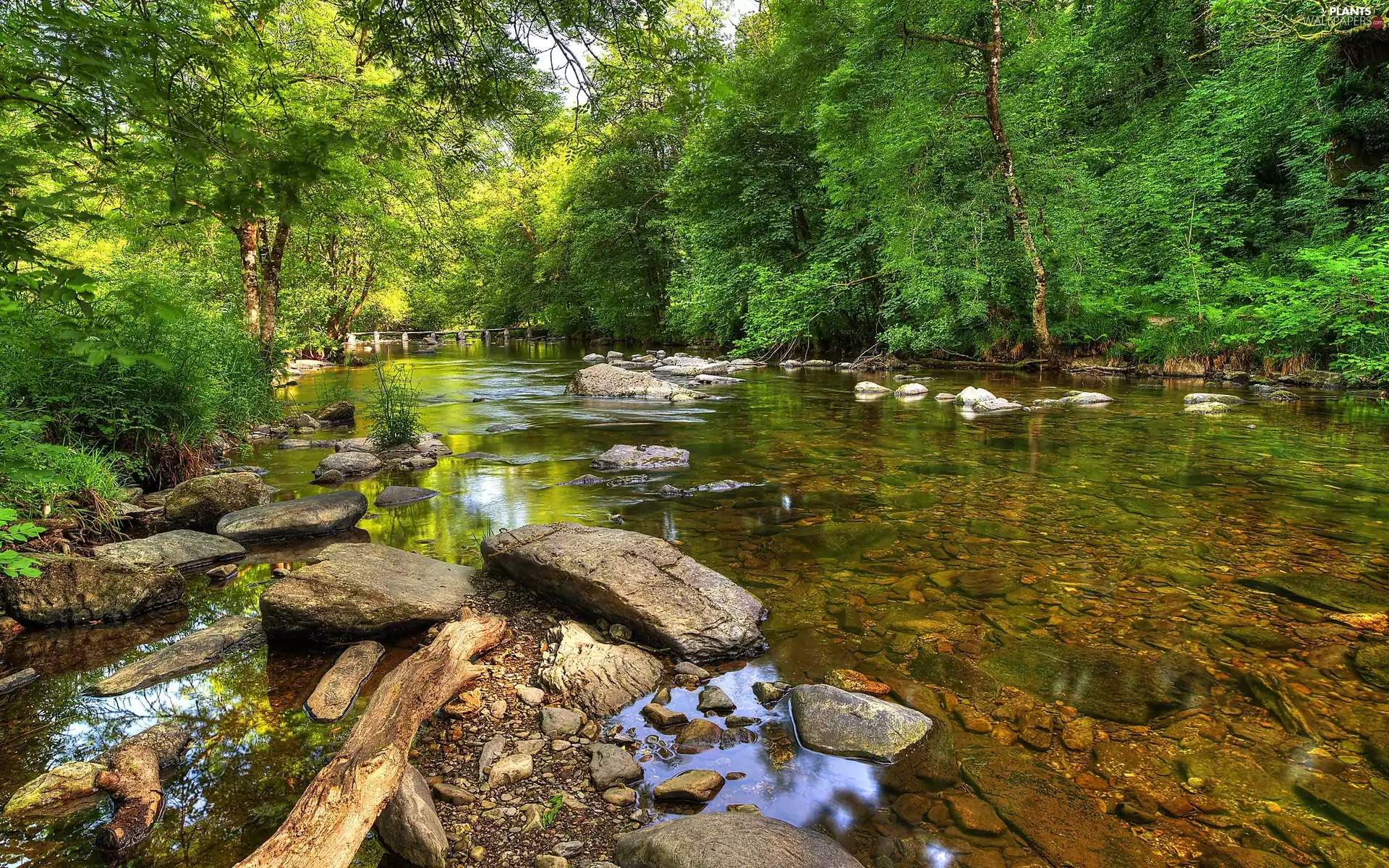 Exmoor National Park, Barle River, viewes, Tarr Steps Bridge, trees, County Somerset, England, Stones