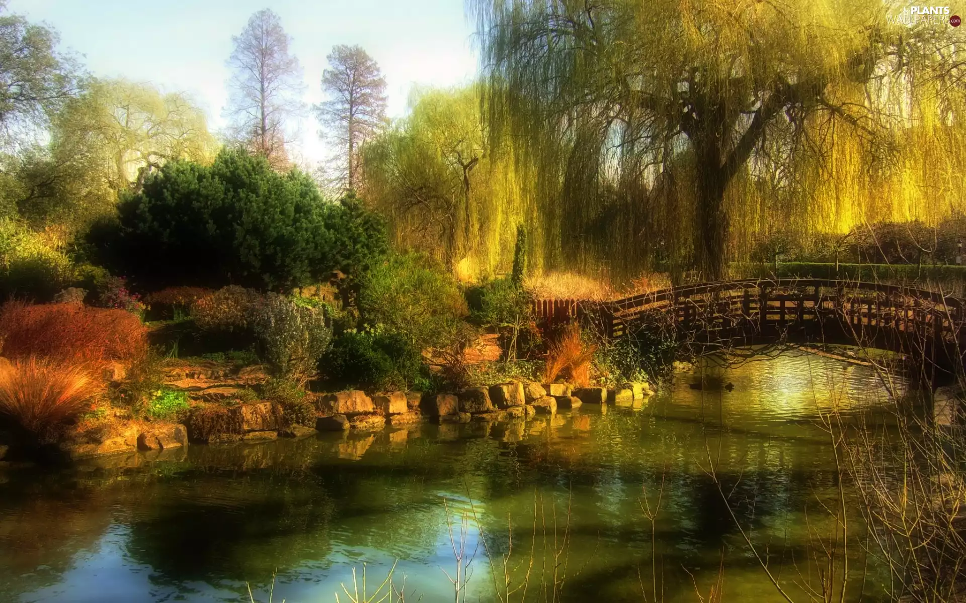 bridge, willow, River