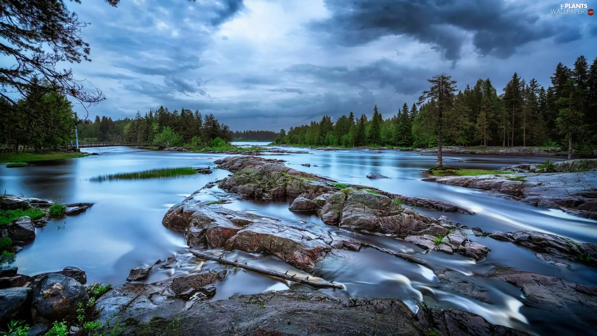 trees, River, forest, bridge, viewes, rocks