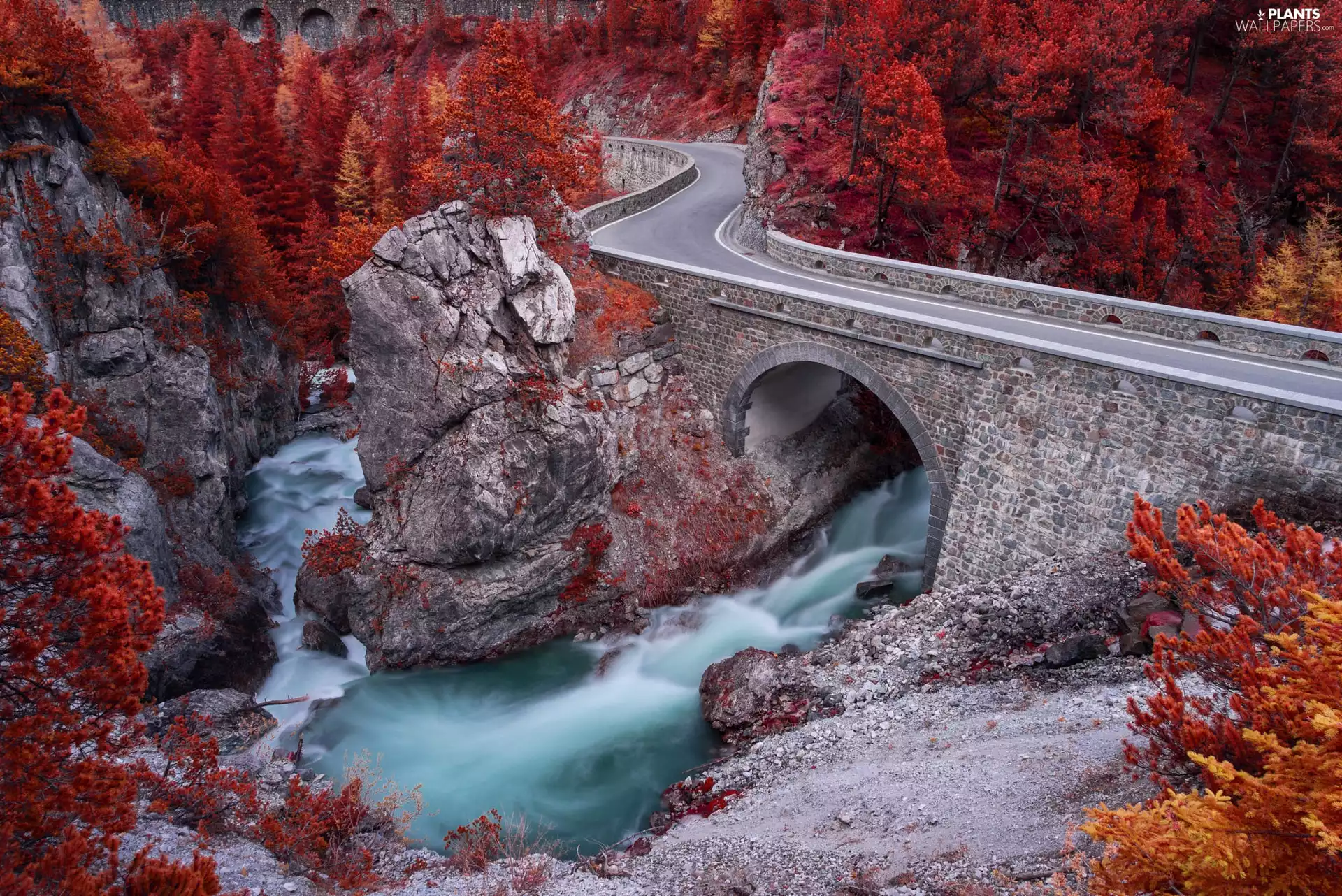 forest, trees, rocks, viewes, River, autumn, Way, bridge