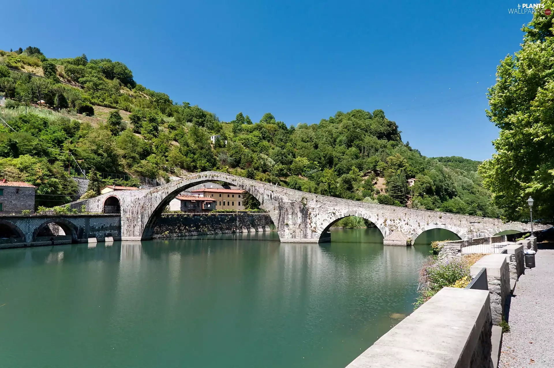 bridge, Maria, VEGETATION, Magdalene, The Hills, Serchio, River, Houses