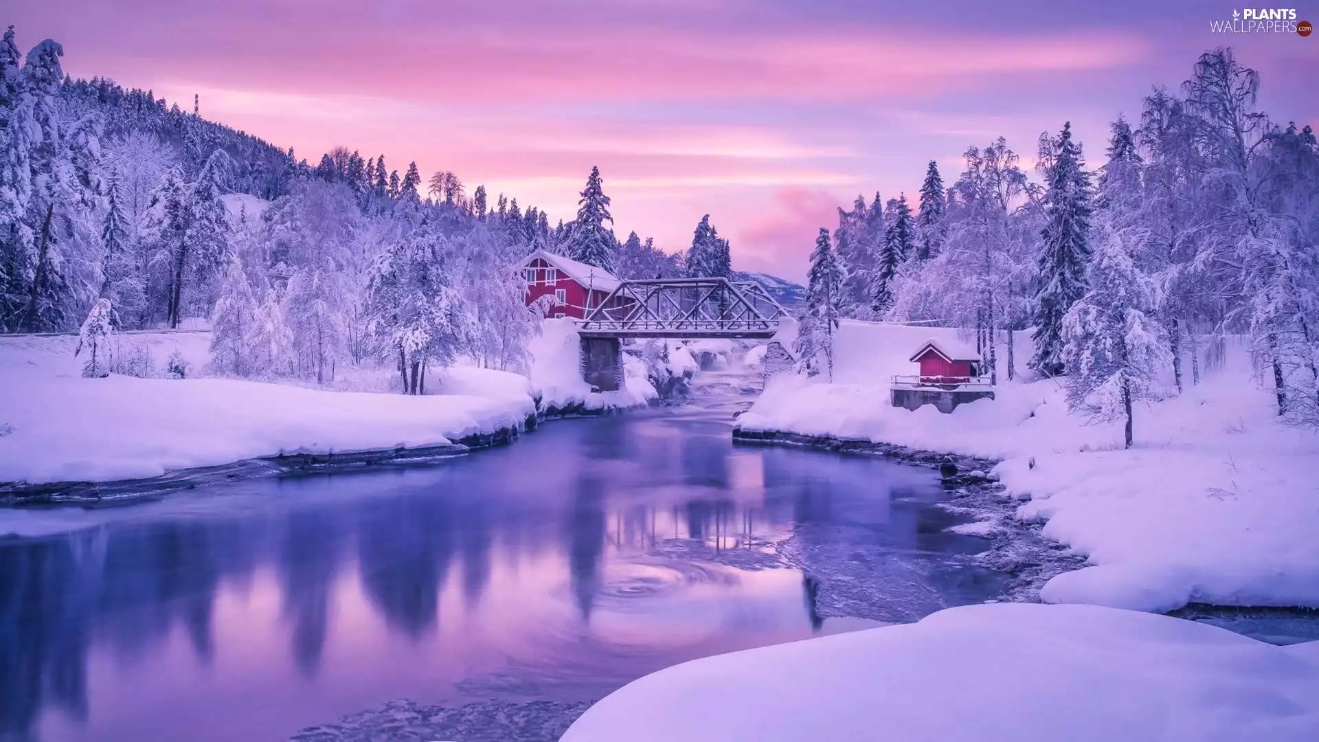 Red, River, trees, bridge, winter, Houses, viewes