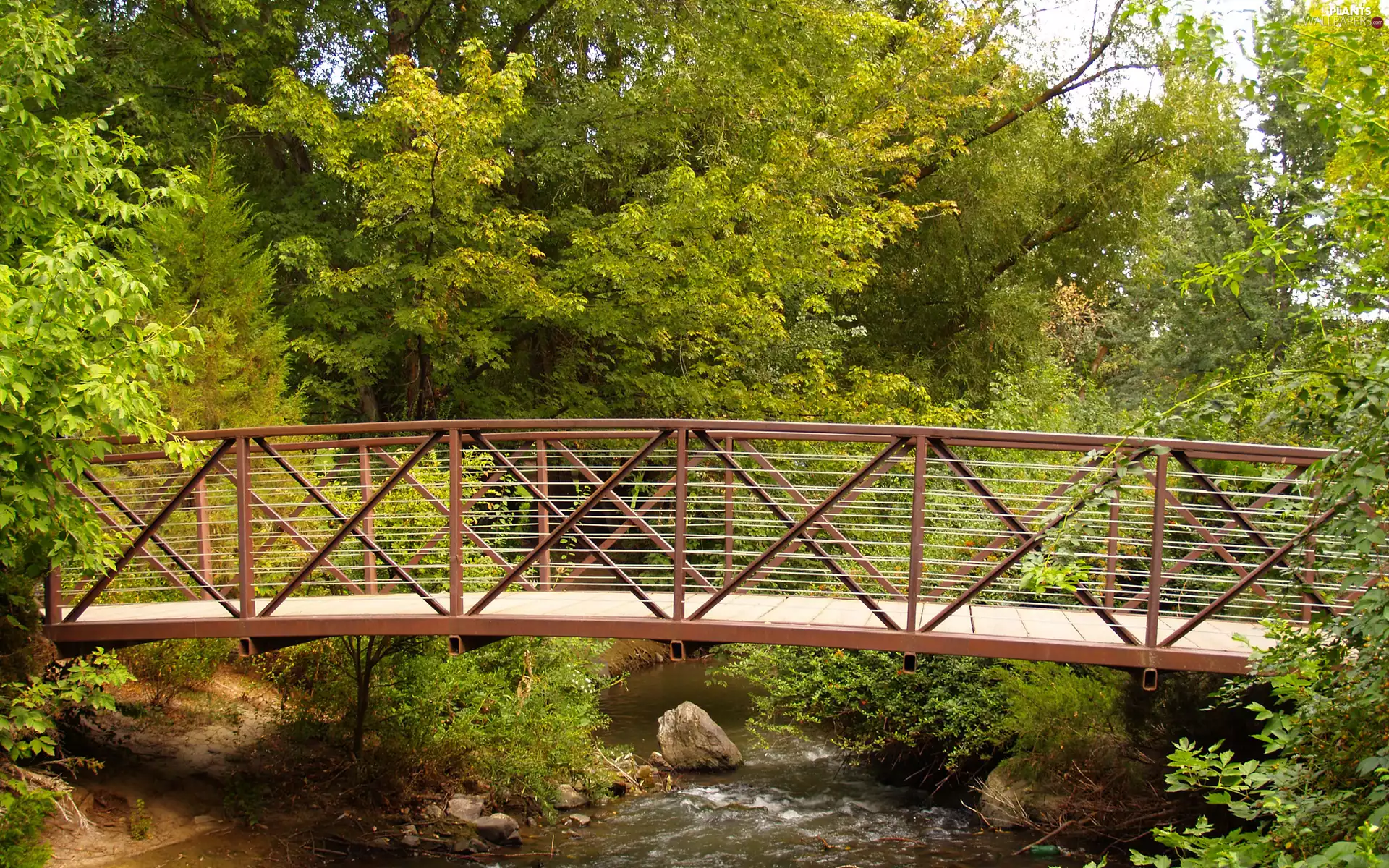 viewes, forest, Stones, bridge, River, trees
