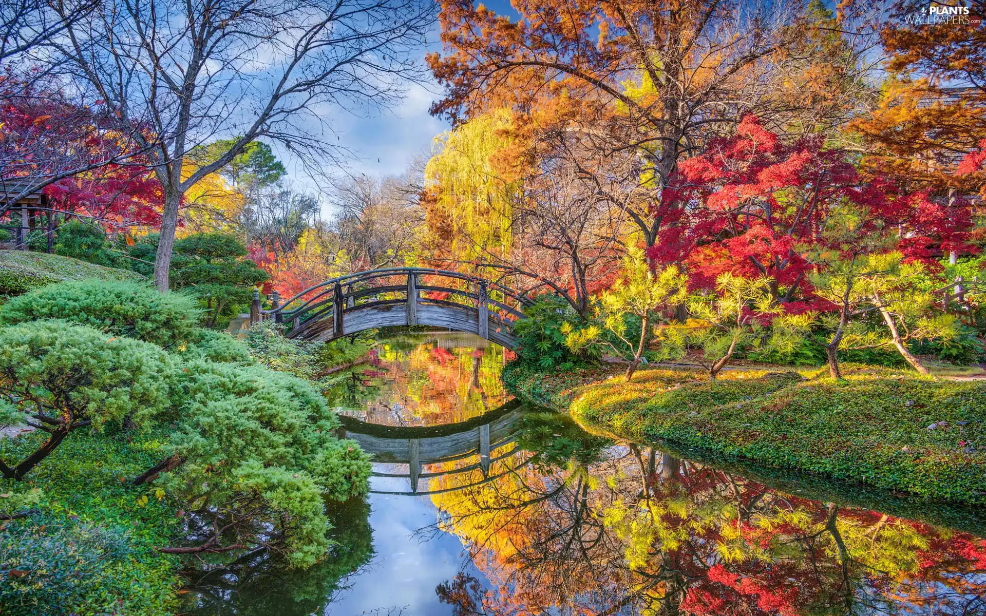 trees, River, Bush, bridges, Garden, viewes, autumn