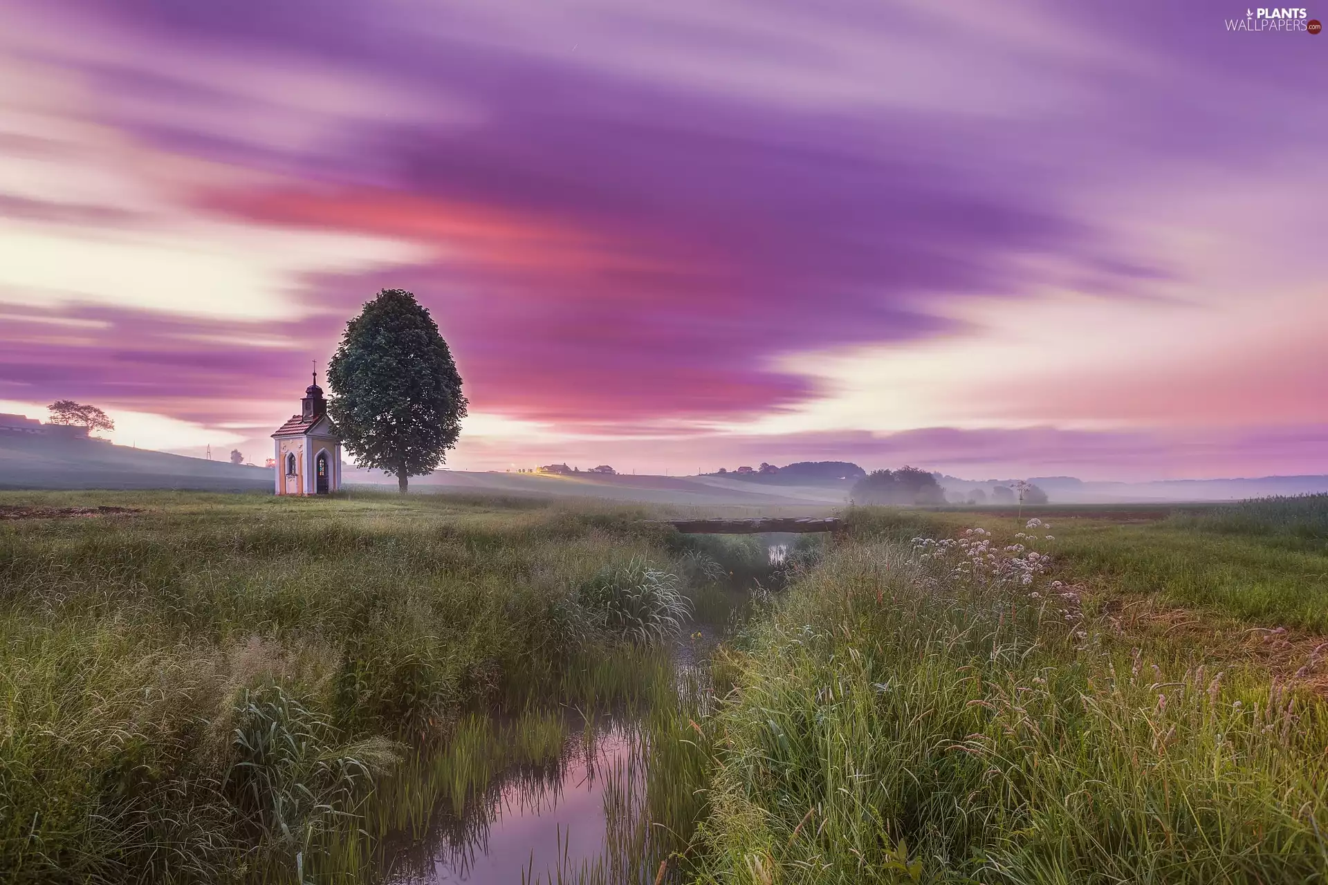 bridges, medows, brook, chapel, Sunrise, Fog, clouds, morning, trees