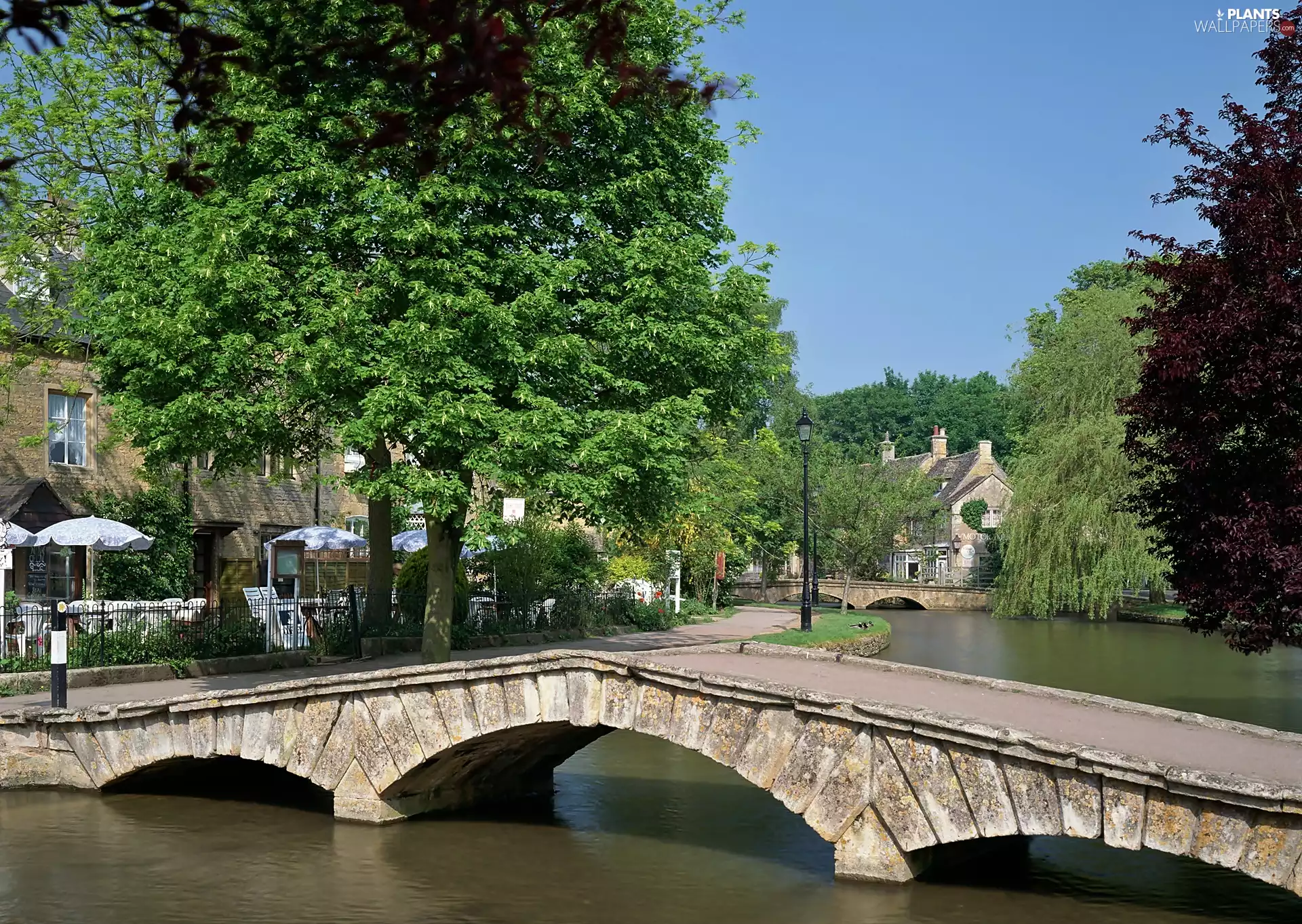 Bridges, Town, River
