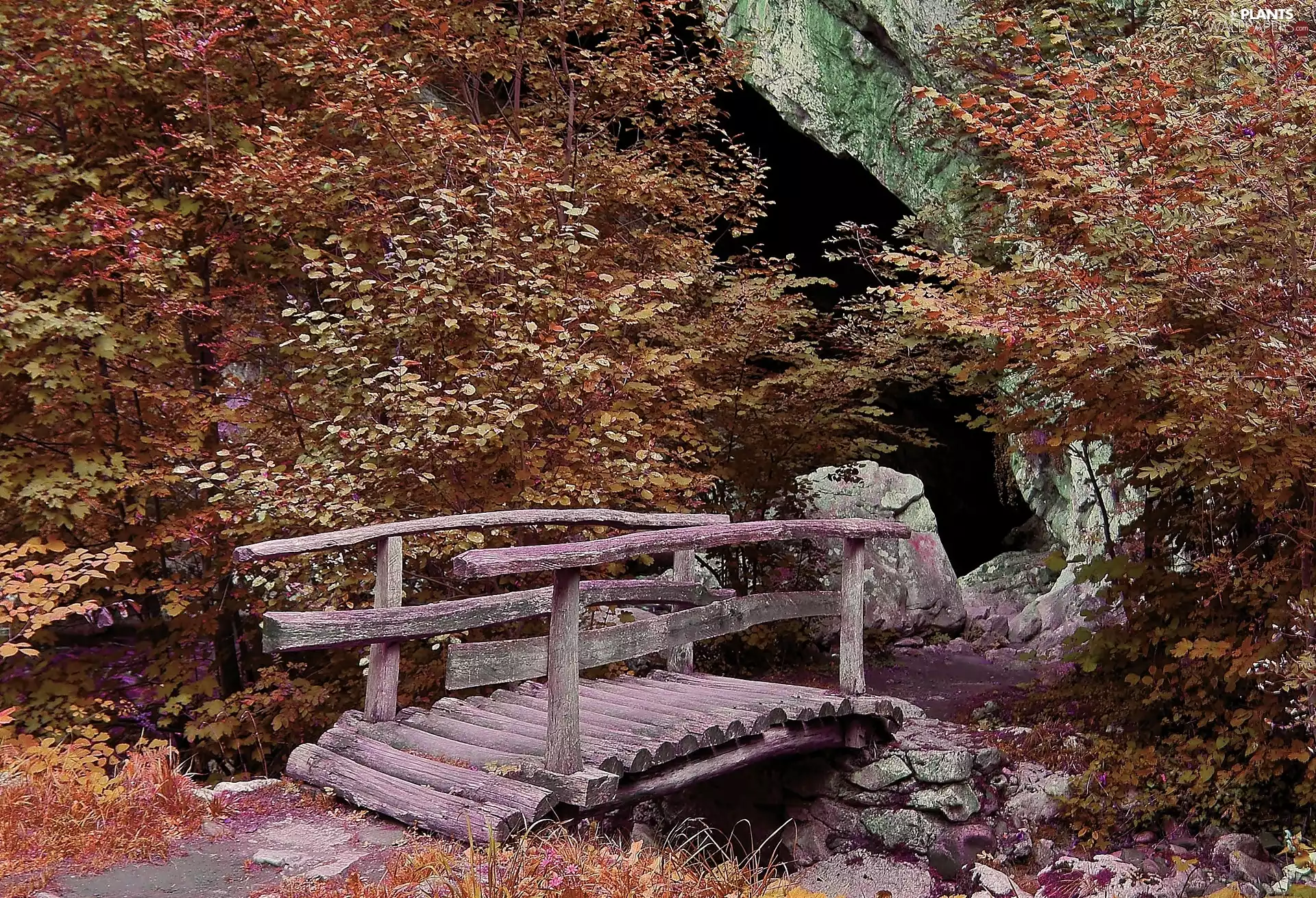 cave, autumn, viewes, bridges, trees, rocks
