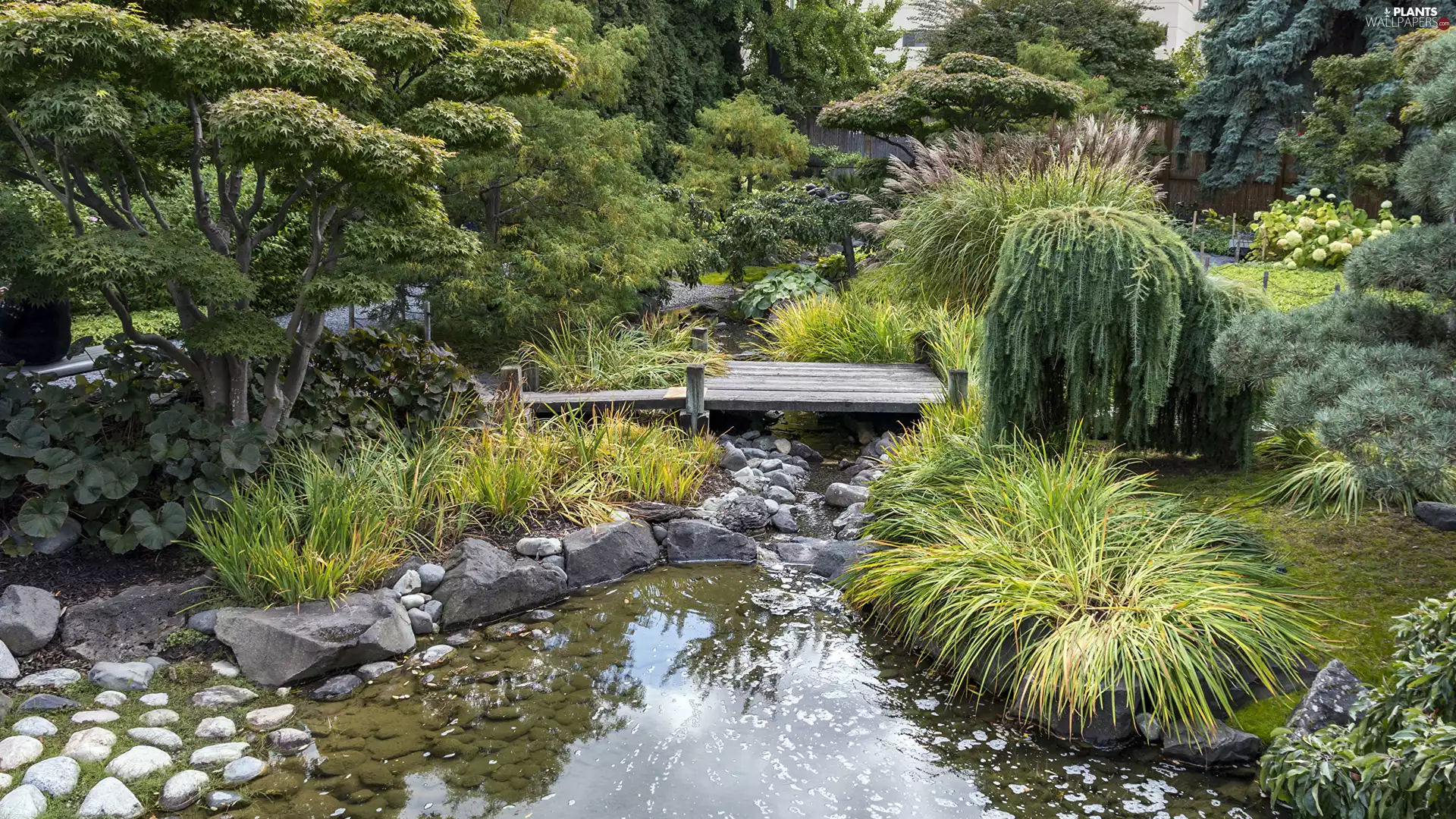 Bush, bridges, stream, Stones, Garden