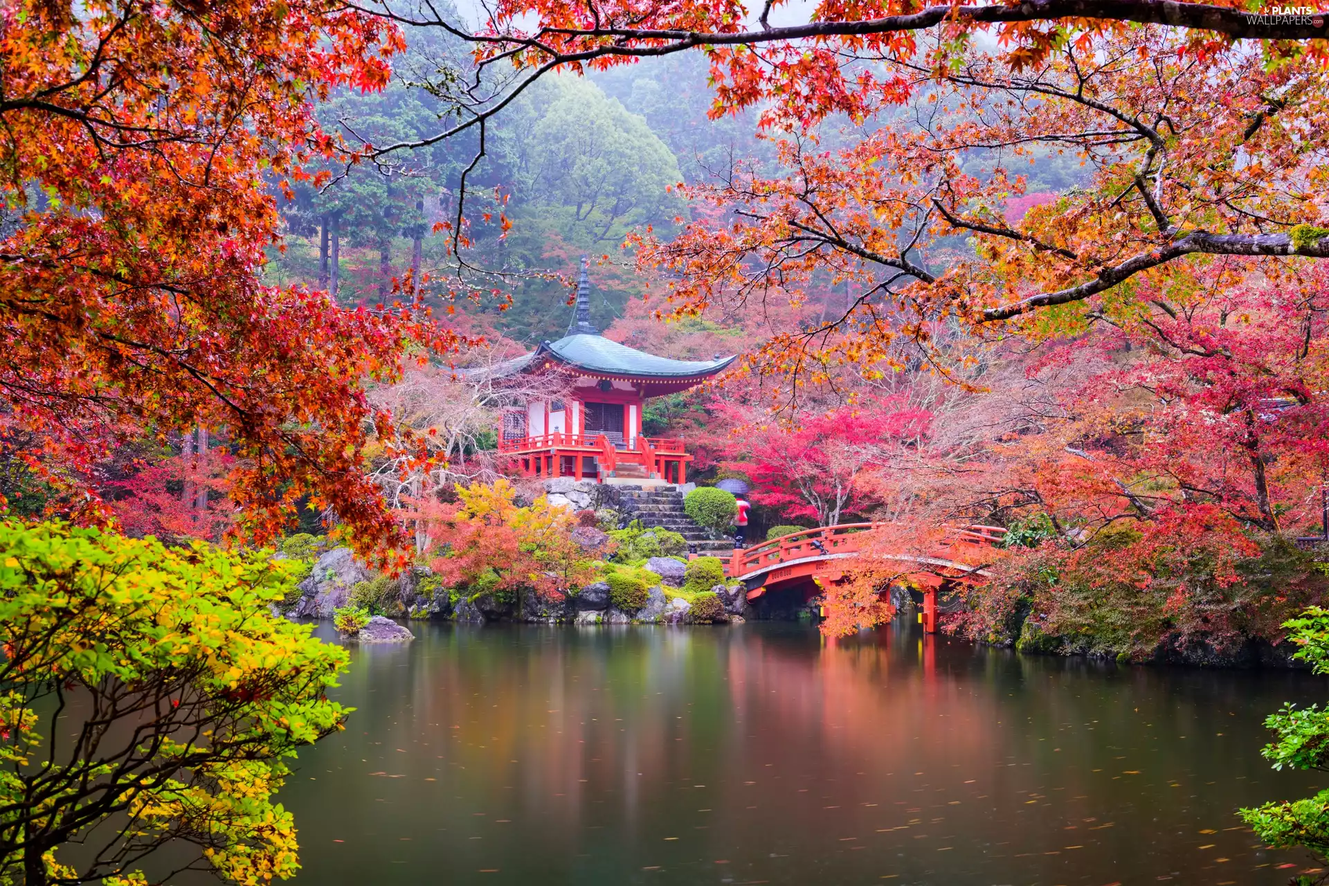 Kioto, Japan, Daigo-ji Shingon Buddhist Temple, Temple Benten-dō, trees, viewes, Pond - car, autumn, bridges