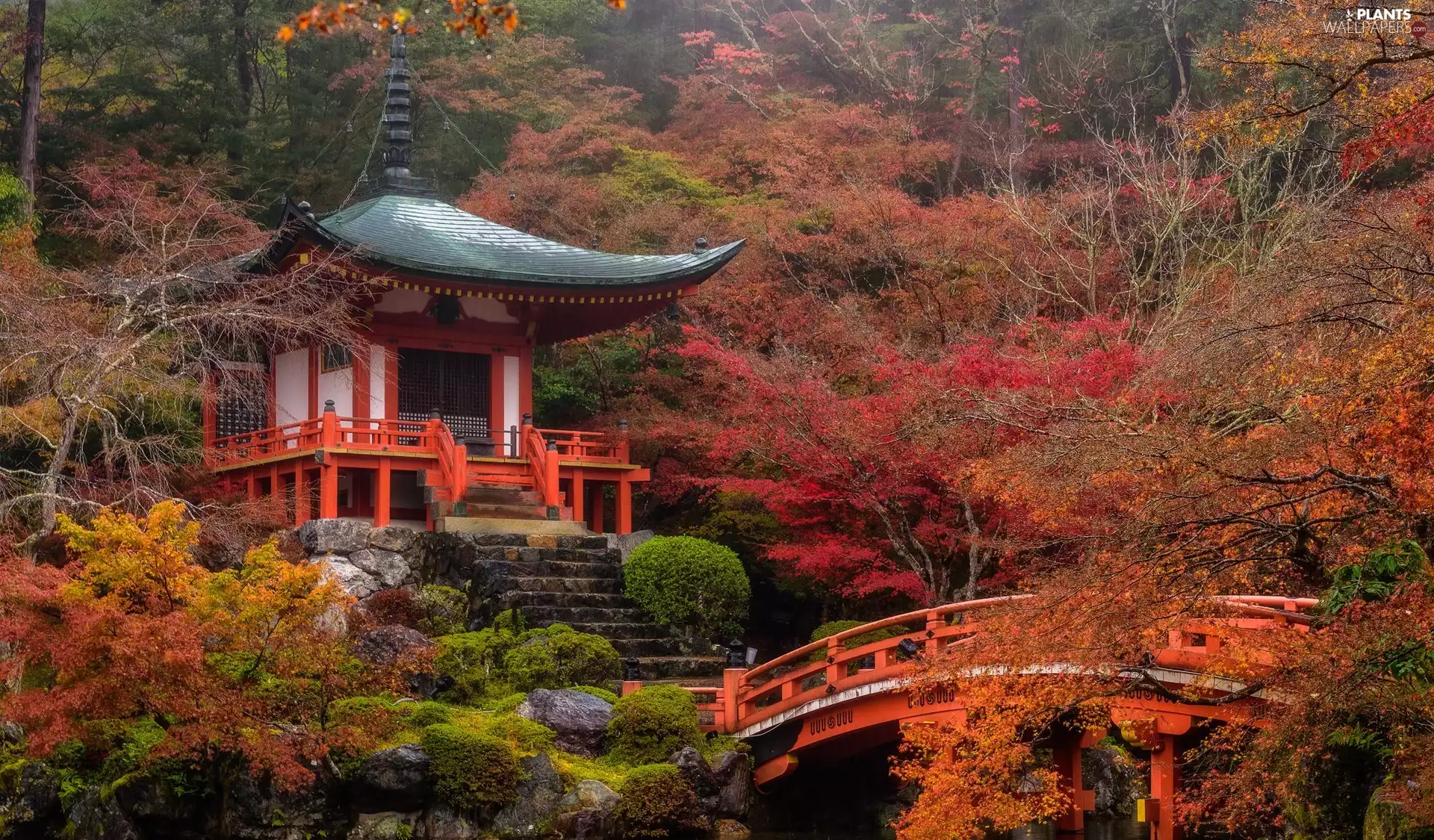 Kioto, Japan, Daigo-ji Shingon Buddhist Temple, Temple Benten-dō, trees, viewes, Pond - car, autumn, bridges