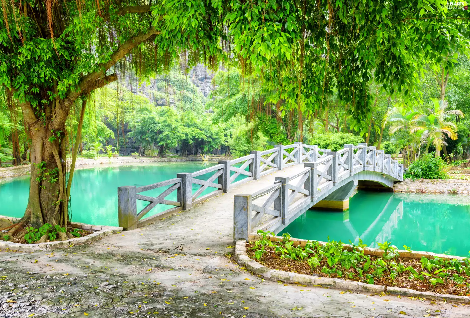 bridges, Wietnam, Province of Ninh Binh, trees, River, Park