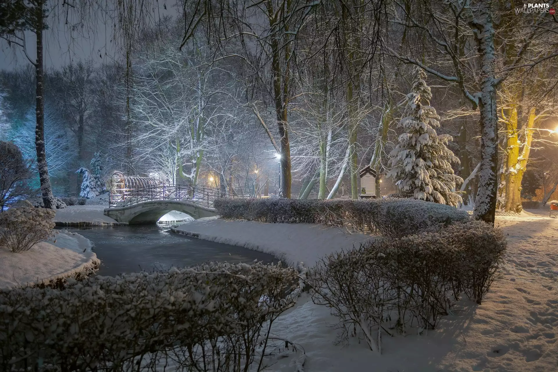 trees, viewes, twilight, River, lanterns, Park, winter, bridges