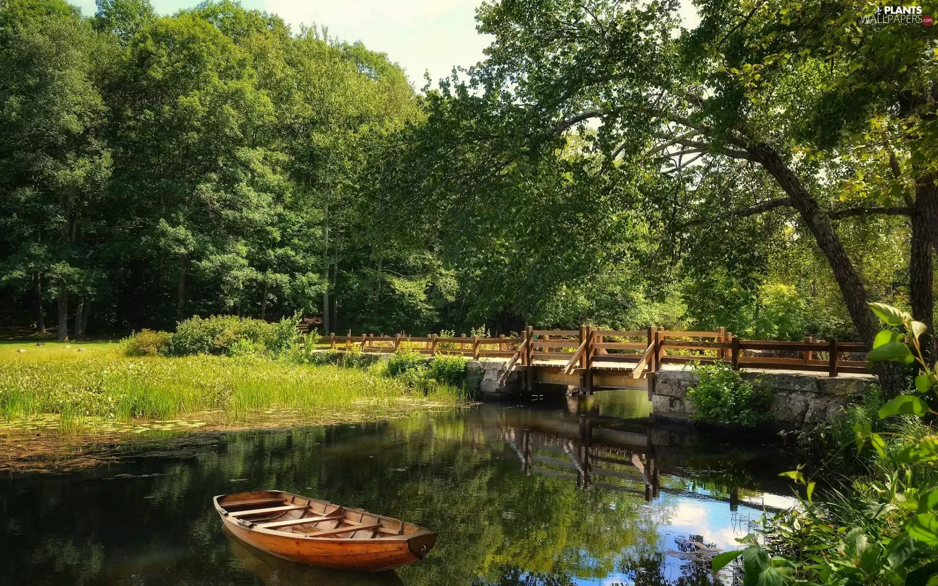 trees, Boat, VEGETATION, bridges, River, viewes, summer