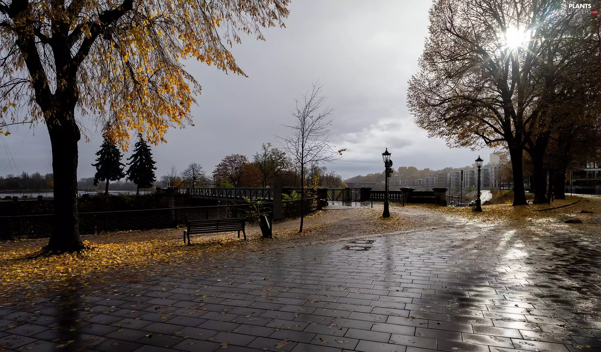 Sunrise, lanterns, viewes, bridges, Park, trees, autumn