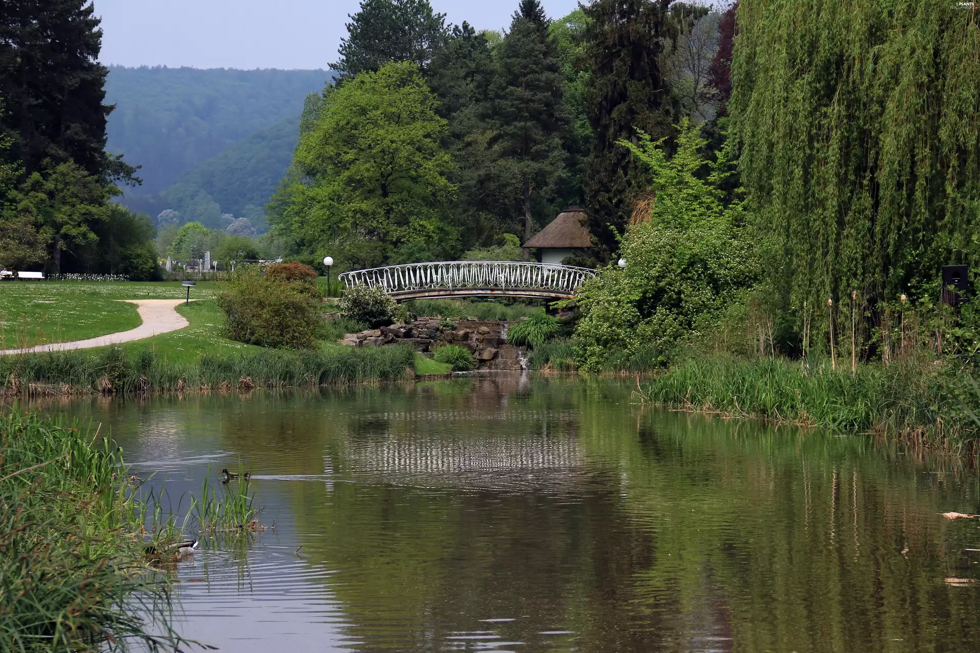 Park, bridges, Willow, Pond - car