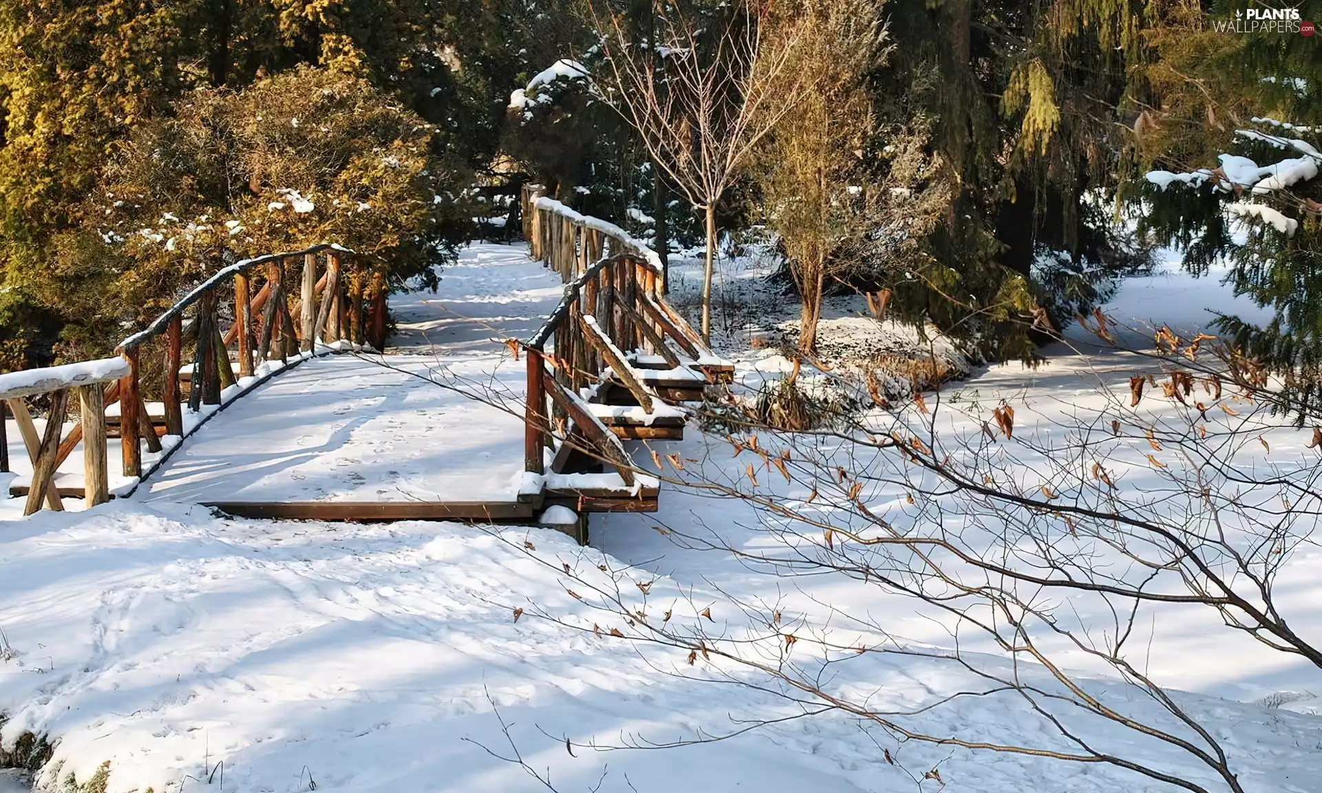 winter, Frozen, River, bridges