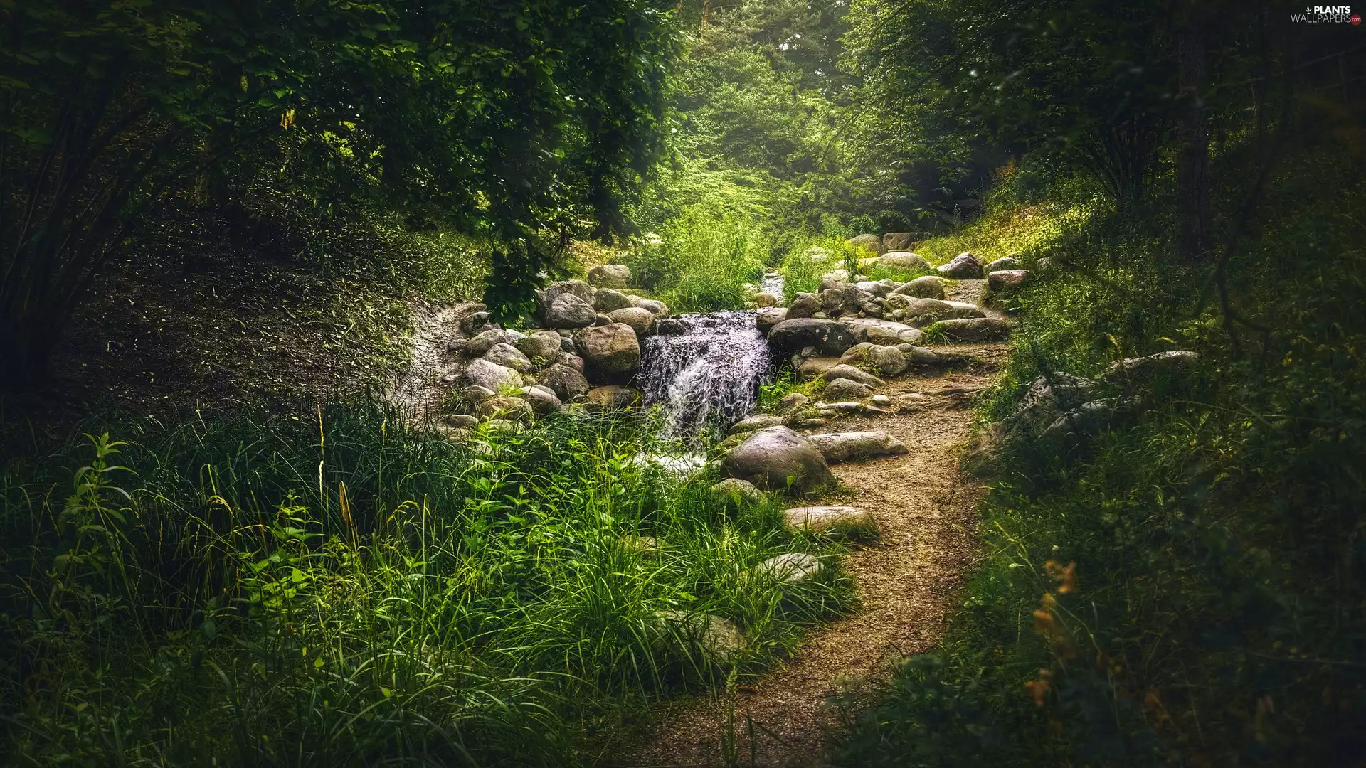 Britzer Garten Park, Path, viewes, Stones, trees, Berlin, Germany, stream