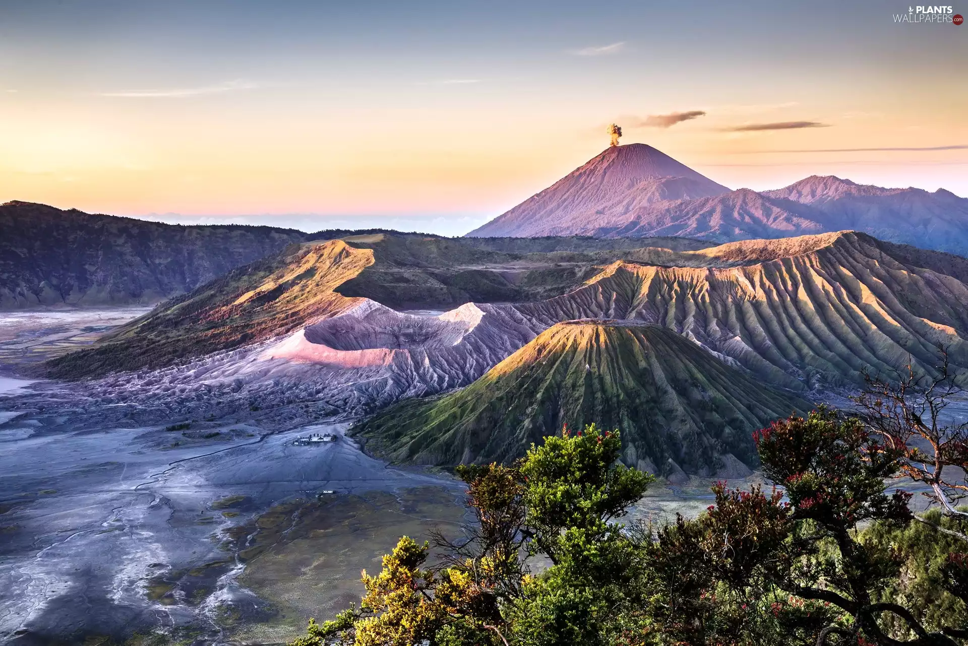 mountains, Bush, indonesia, Bromo
