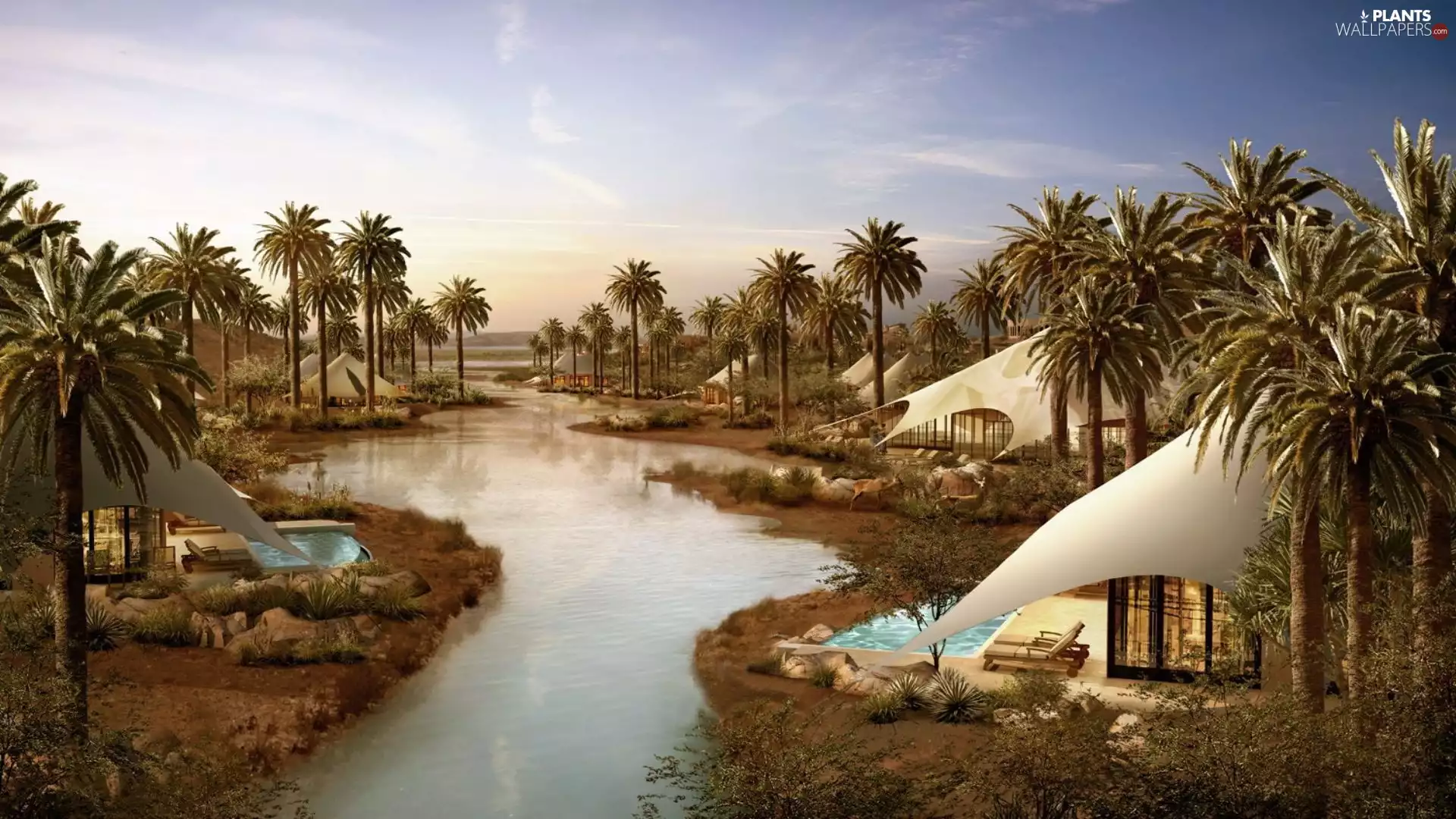 Houses, Palms, imagination, brook