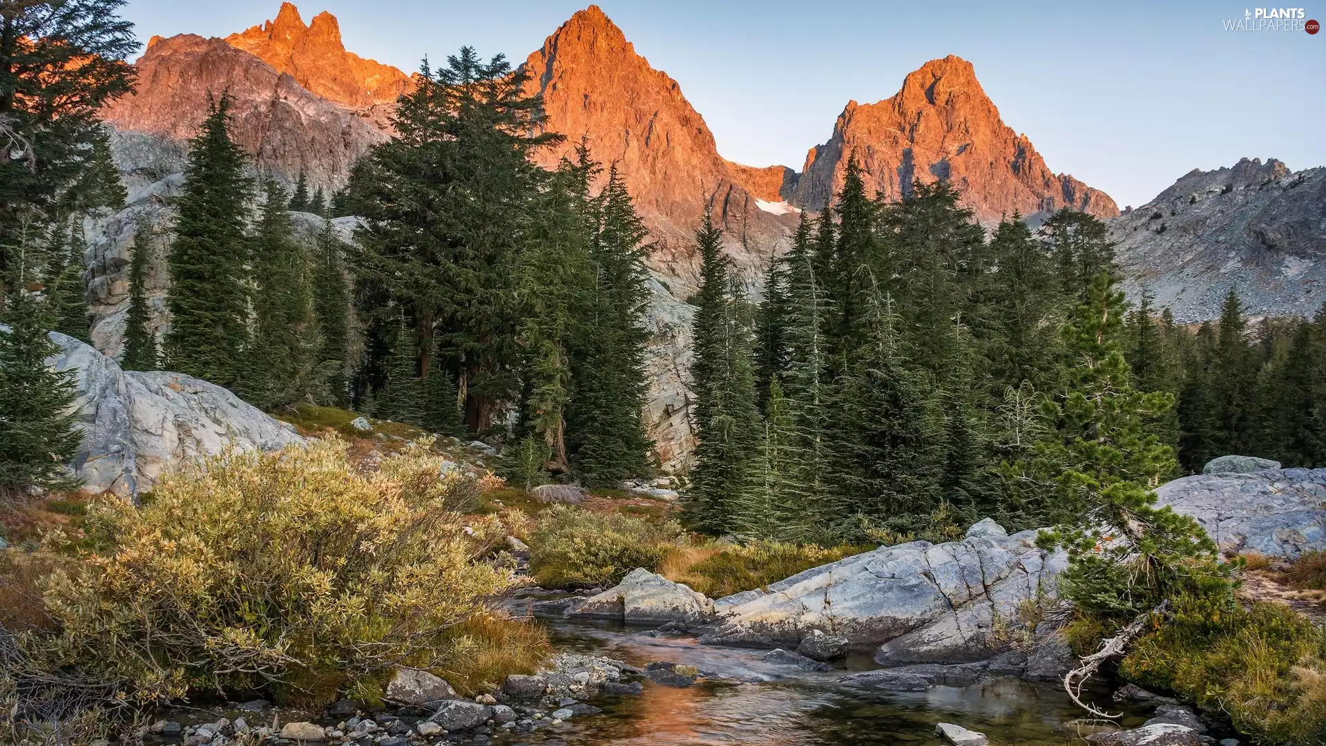 Mountains, Spruces, Stones, brook