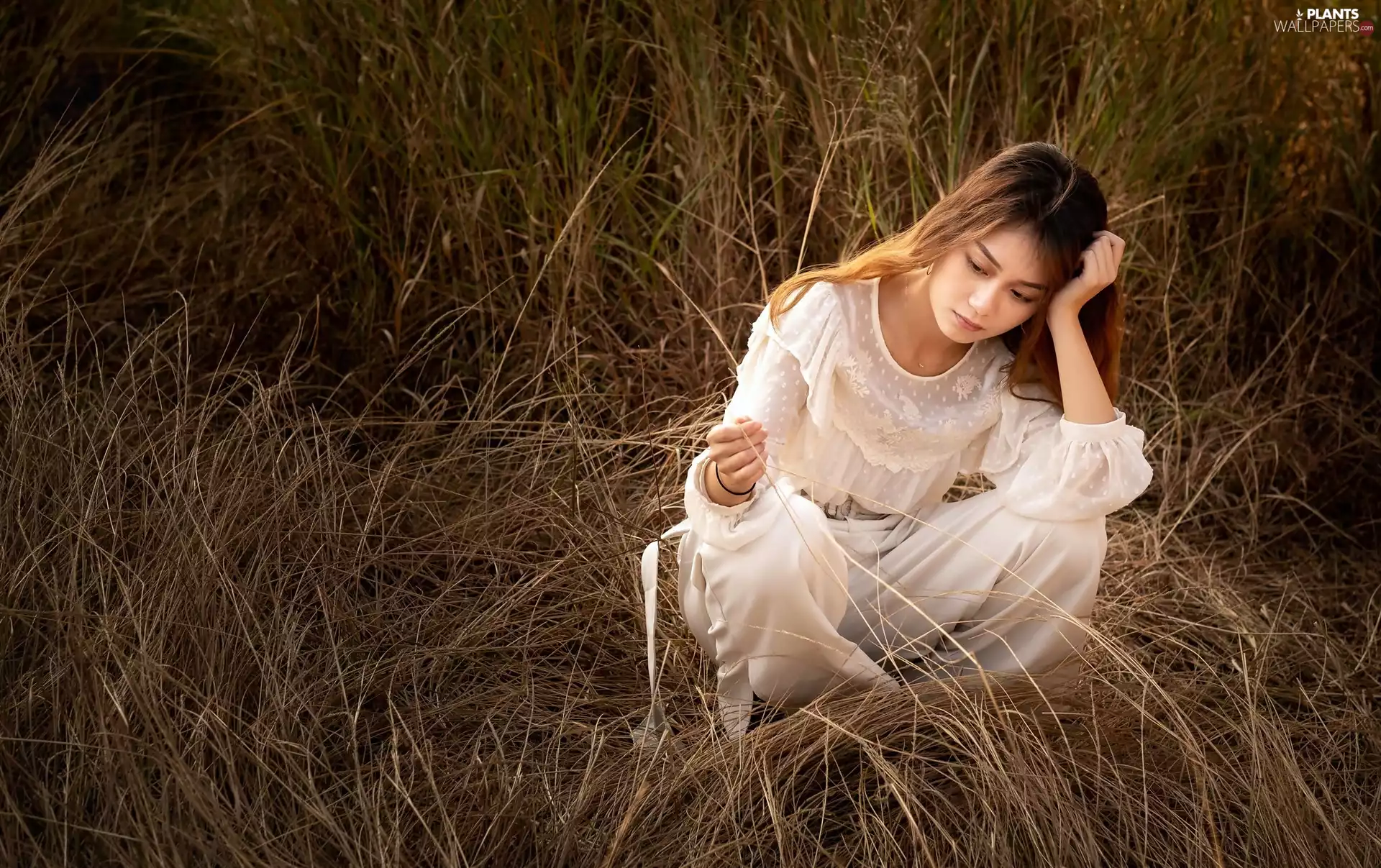 sadness, grass, light brown, very sensible, Women