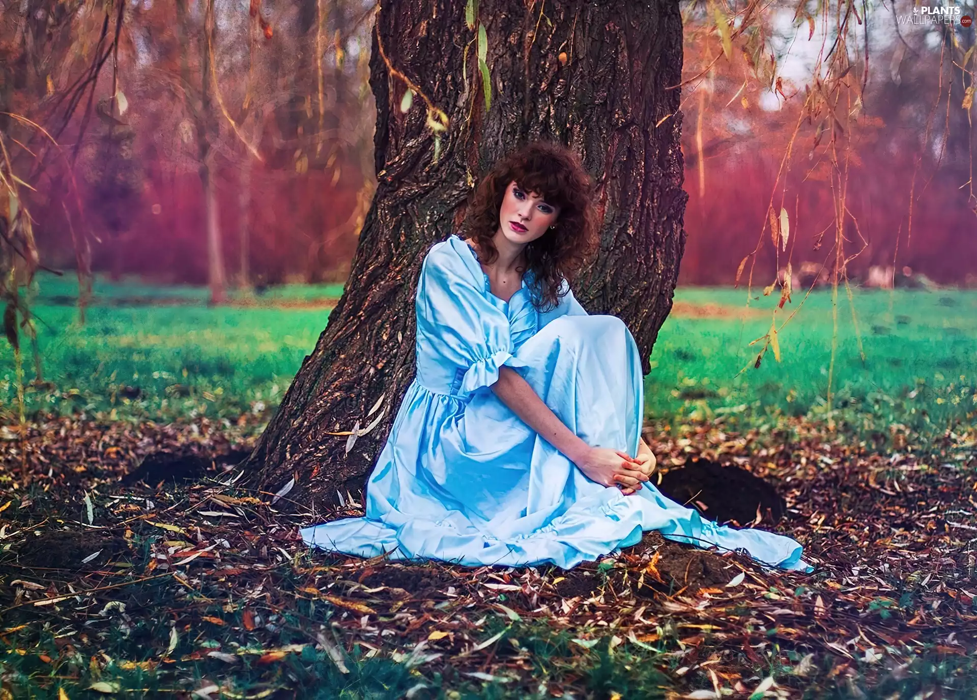 Dress, trees, light brown, Blue, Women