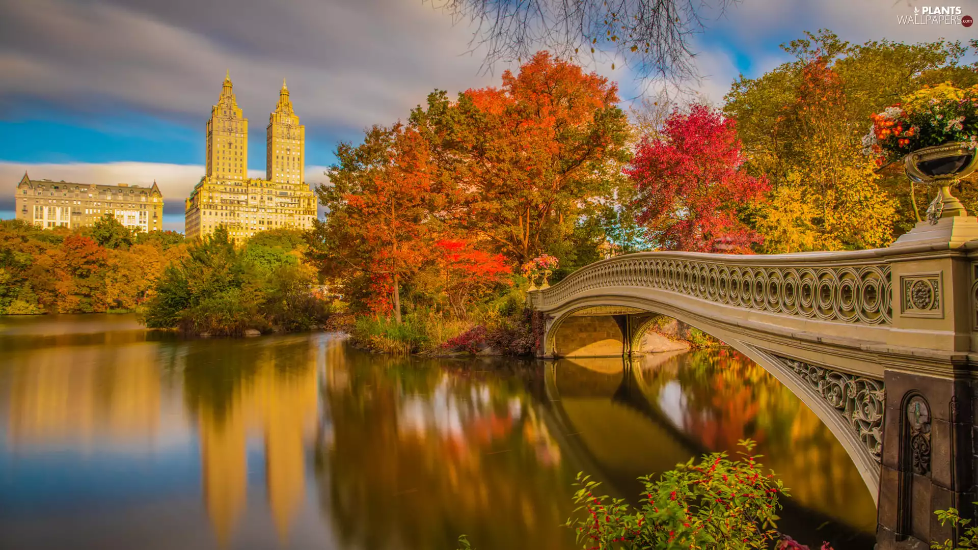 viewes, New York, Central Park, bridge, Eldorado Building, autumn, Manhattan, The United States, lake, trees