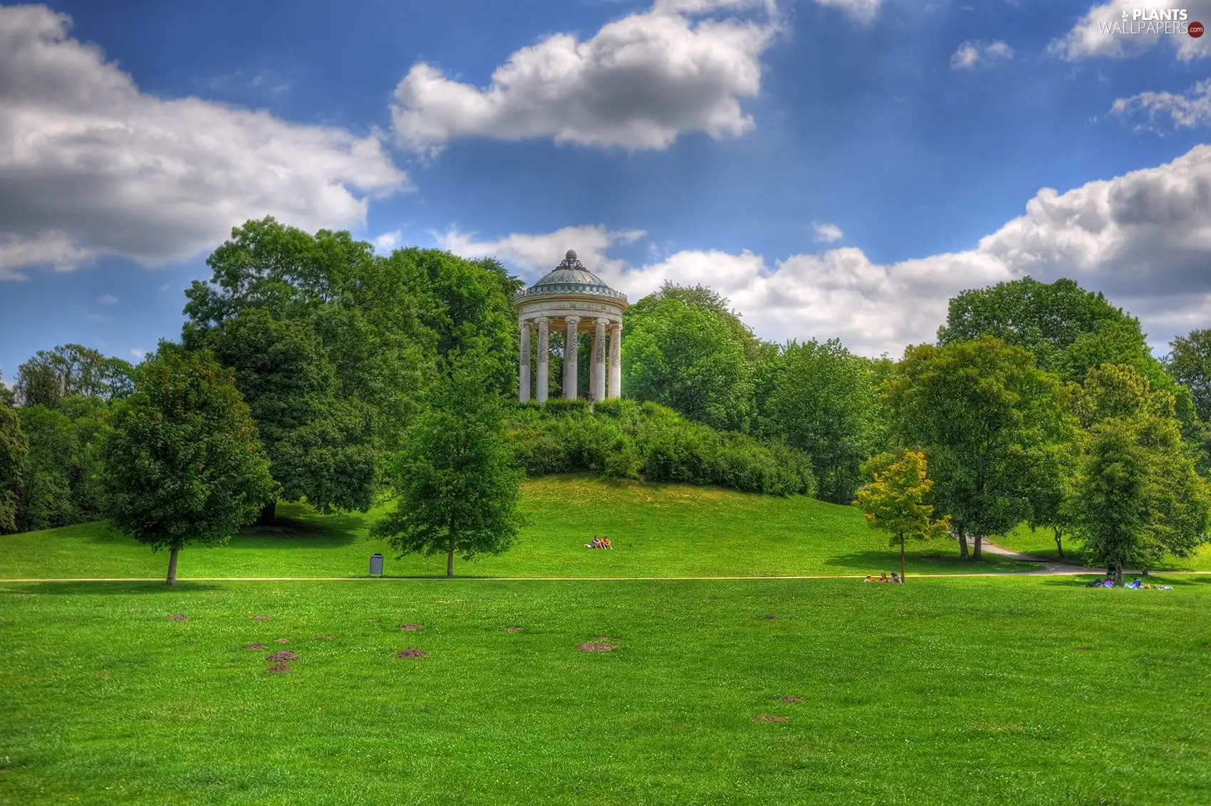 Park, viewes, Buldings, trees