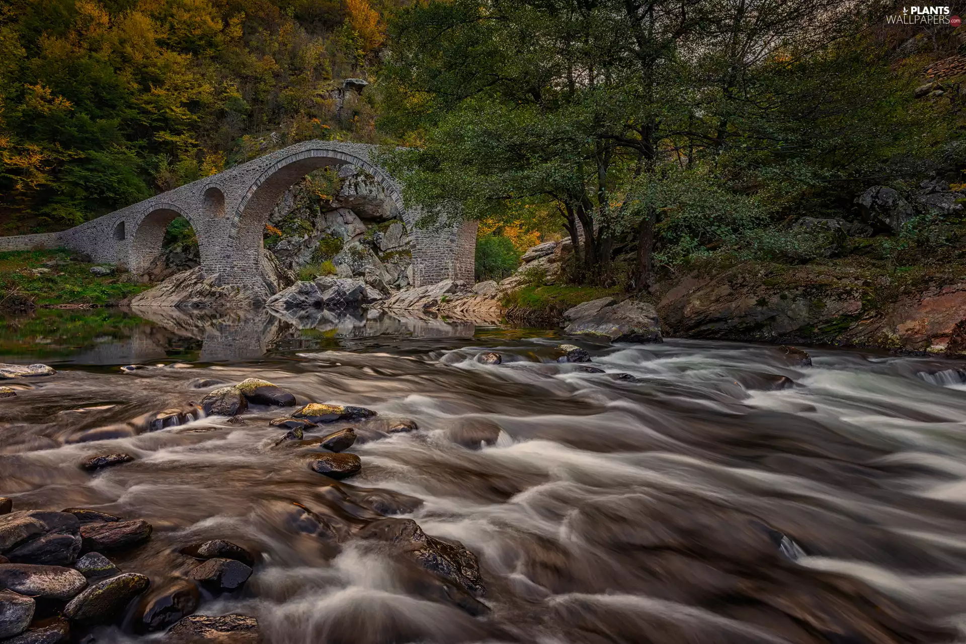 viewes, Stones, bridge, trees, Arda River, stone, Bulgaria