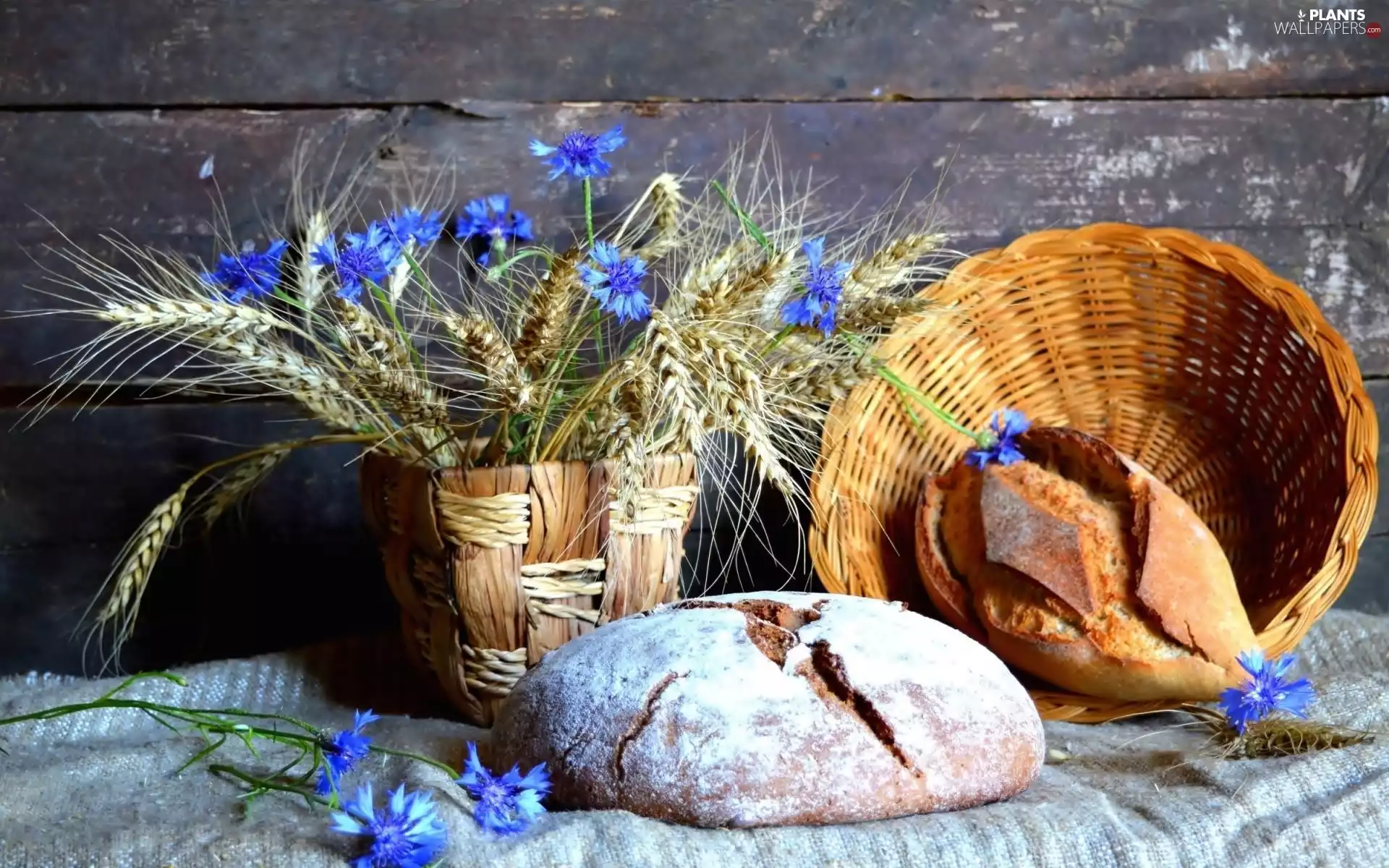 wheat, Baskets, small bunch, composition, cornflowers, Breads