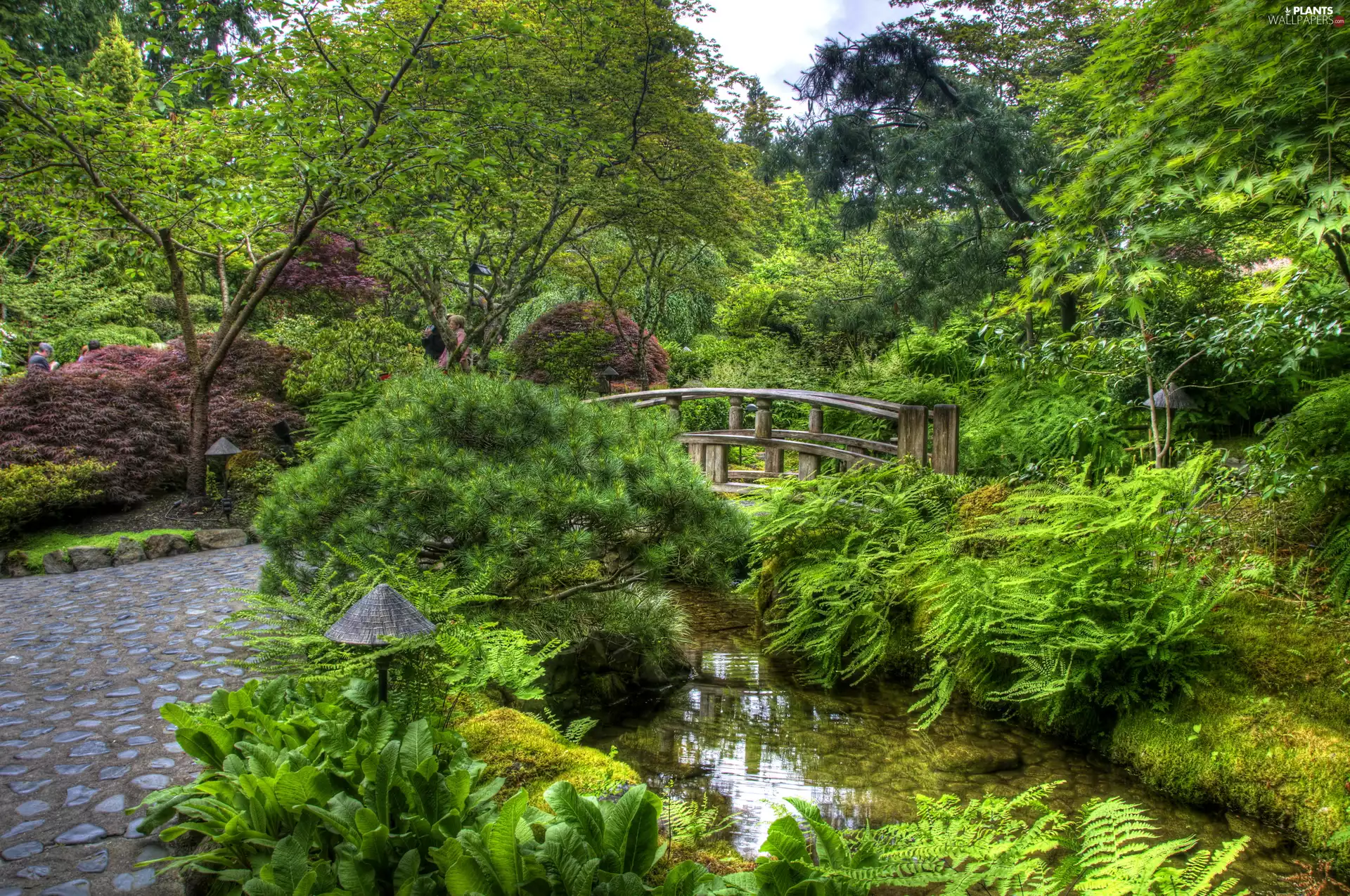 brook, Garden, viewes, Bush, trees, bridges