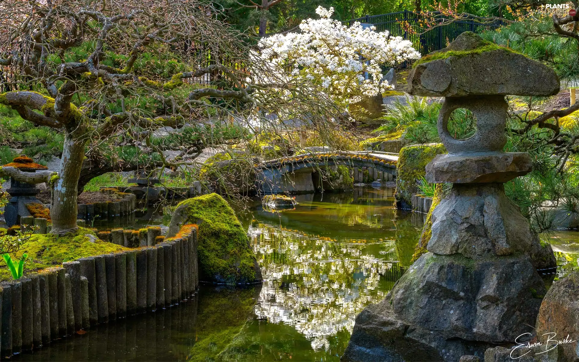 viewes, Japanese Garden, Bush, Stones, Flowers, trees