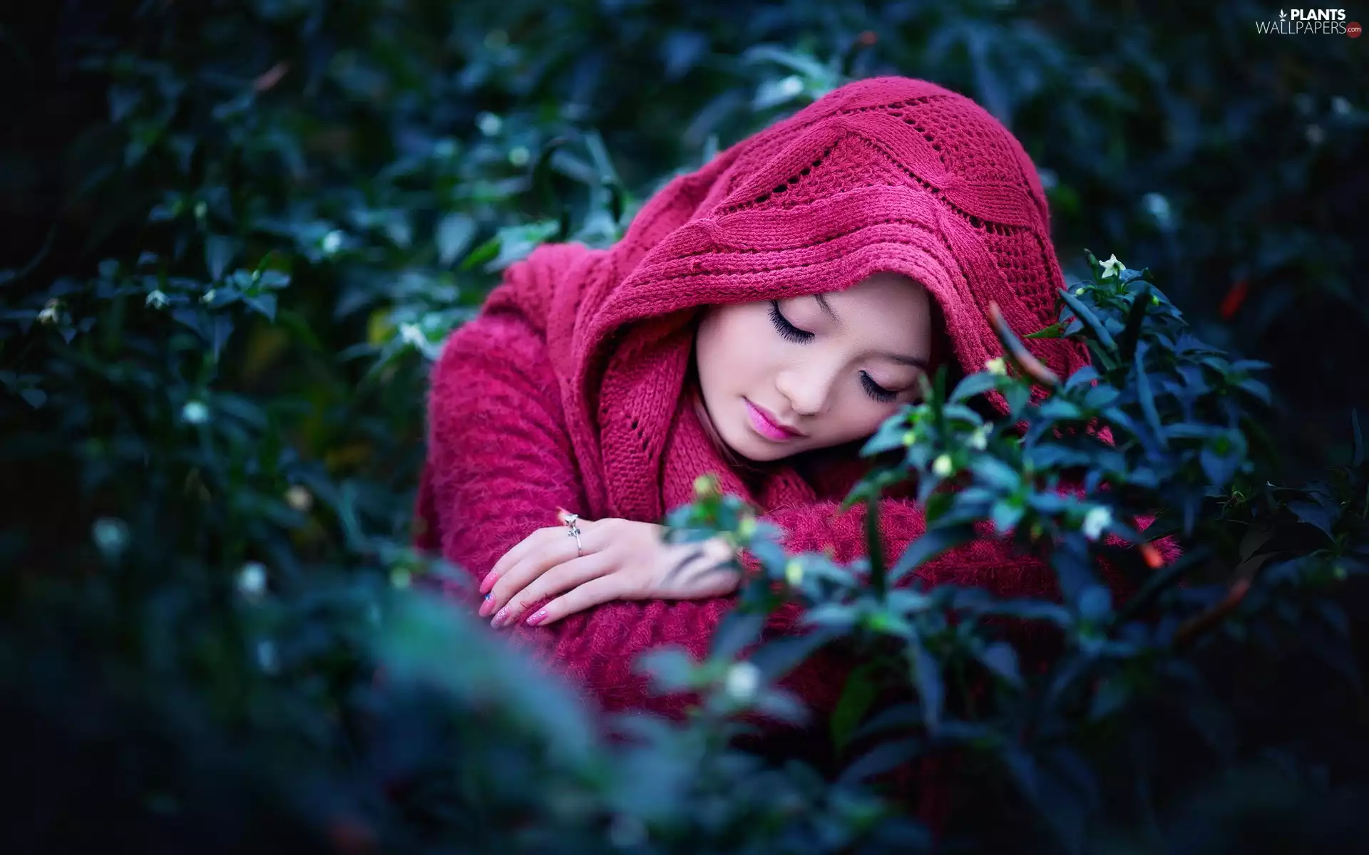 make-up, girl, flower, shawl, sad, jewellery, Bush