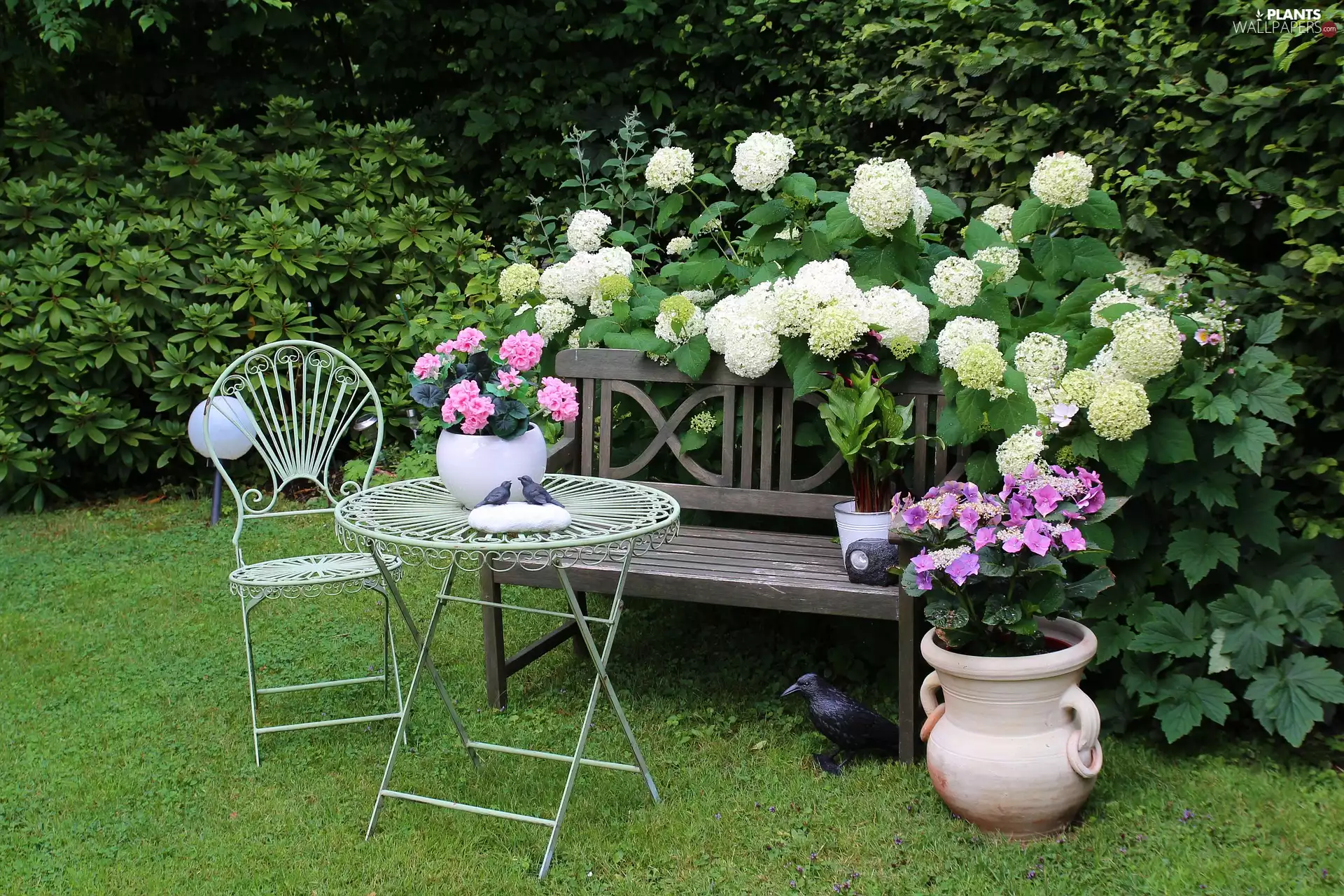 pot, Bench, White, Chair, Flowers, Garden, Bush, grass, table, Viburnum Opulus