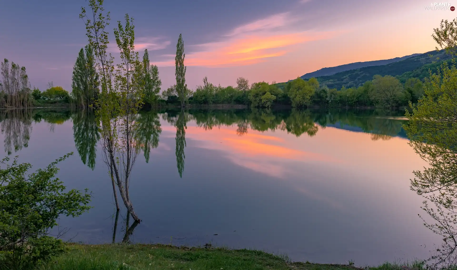 viewes, The Hills, Bush, trees, lake